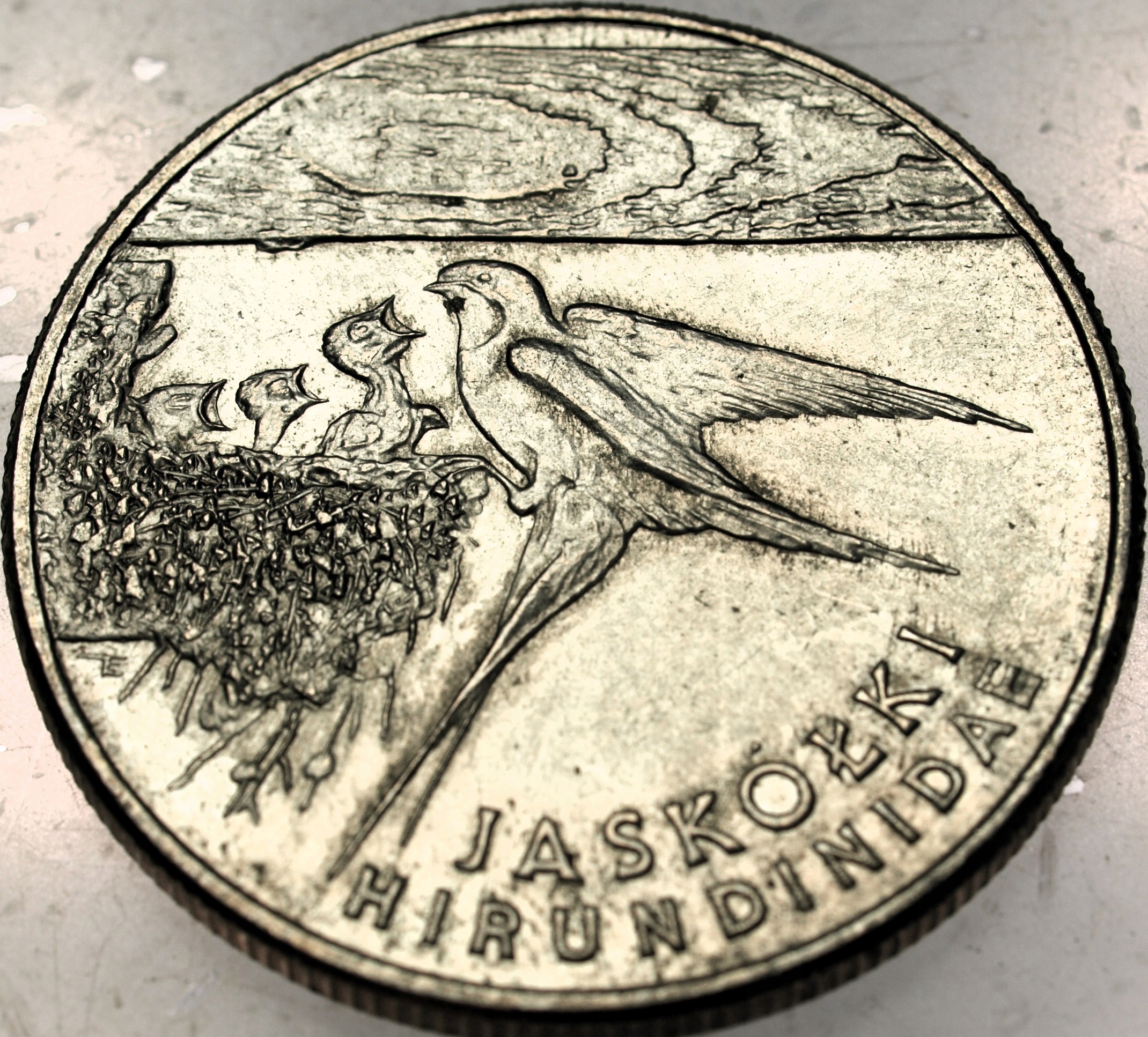 Zdjęcie 18319629247_0