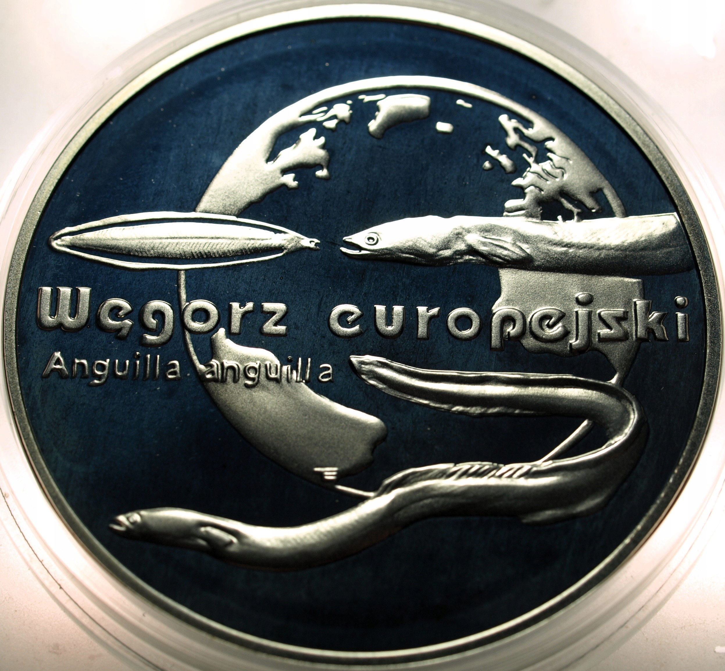 Zdjęcie 18322170267_0