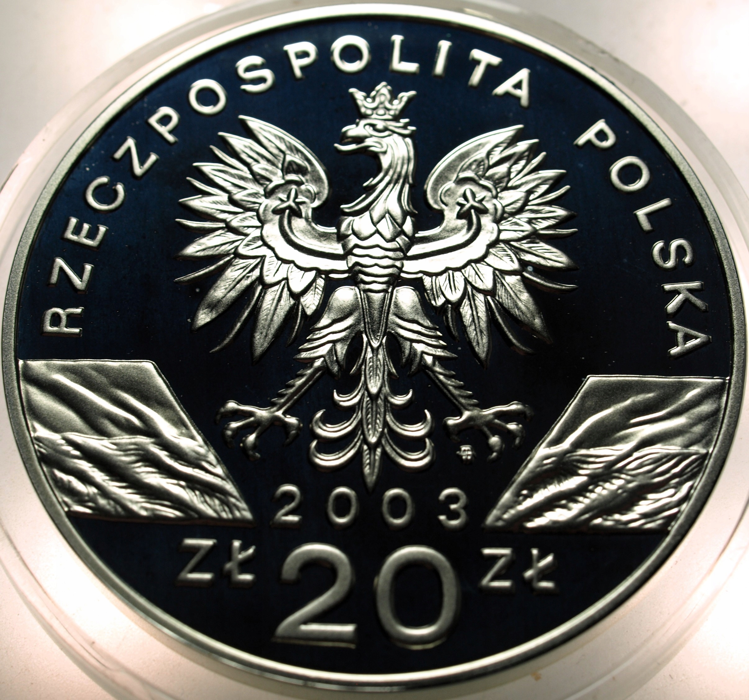 Zdjęcie 18322170267_1