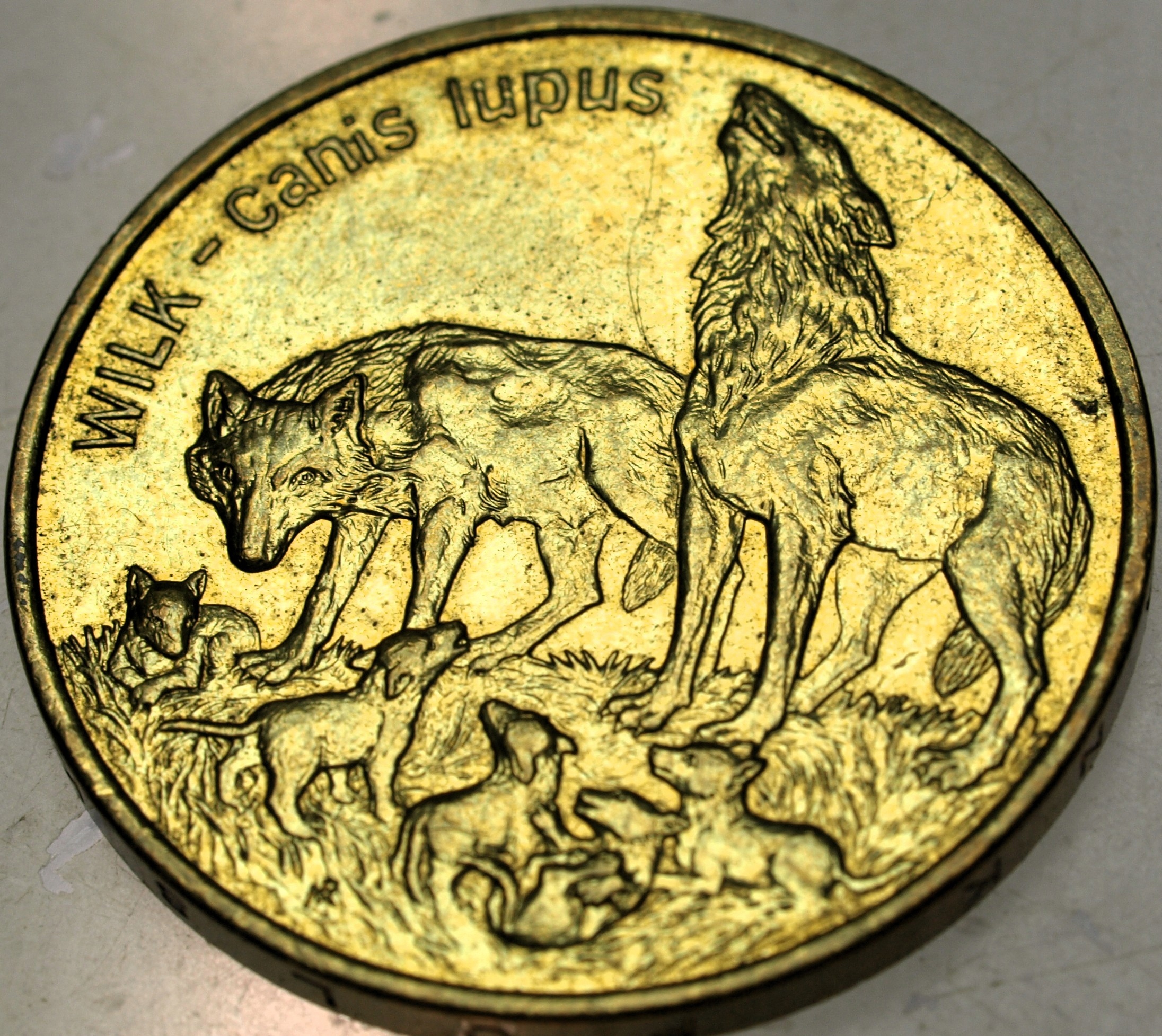 Zdjęcie 18337709626_0