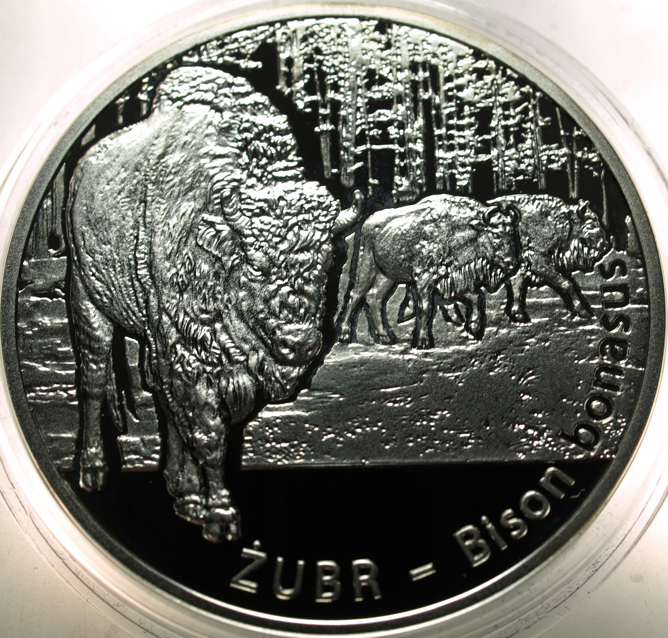 Zdjęcie 18352034433_1