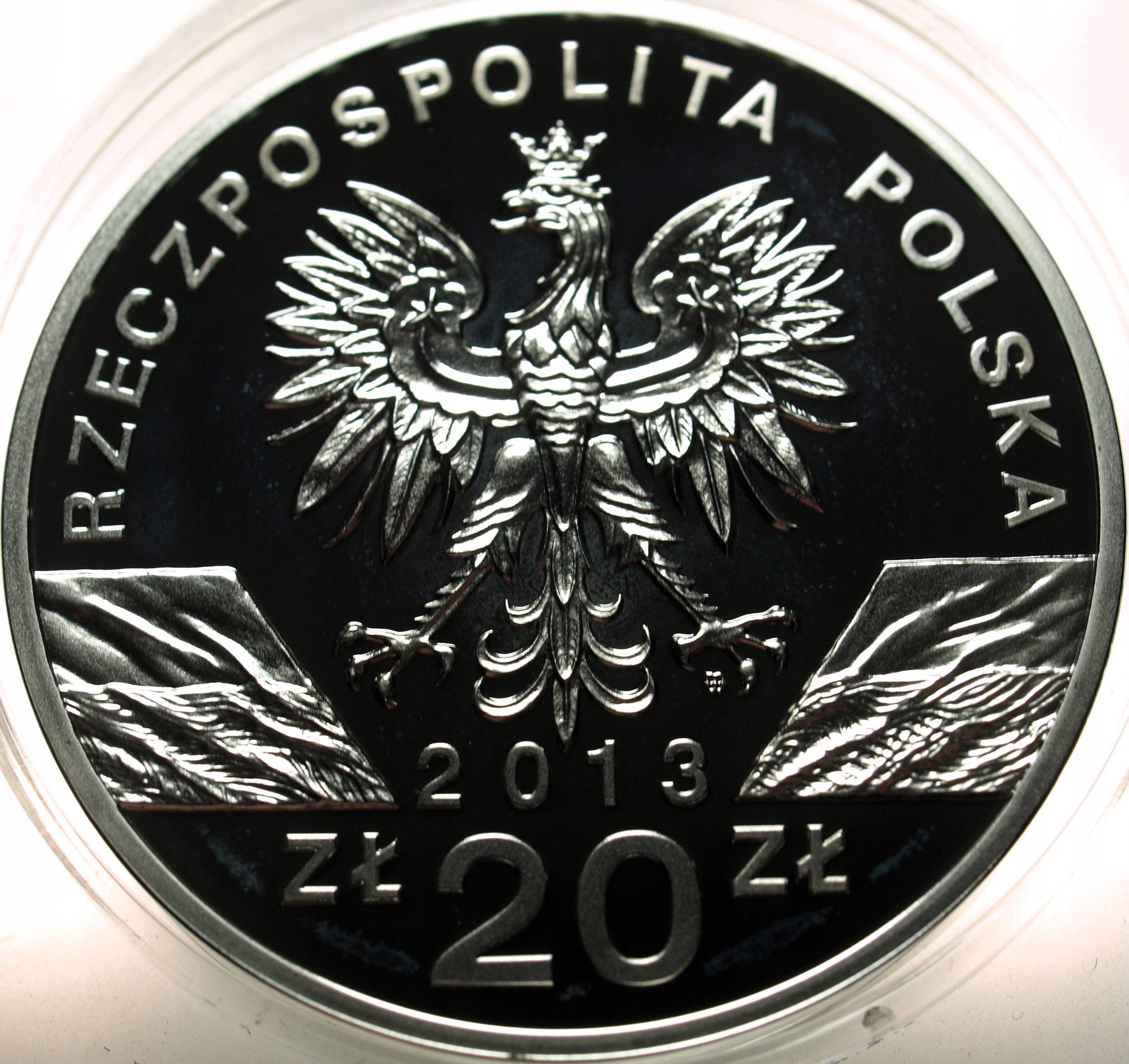 Zdjęcie 18352034433_2