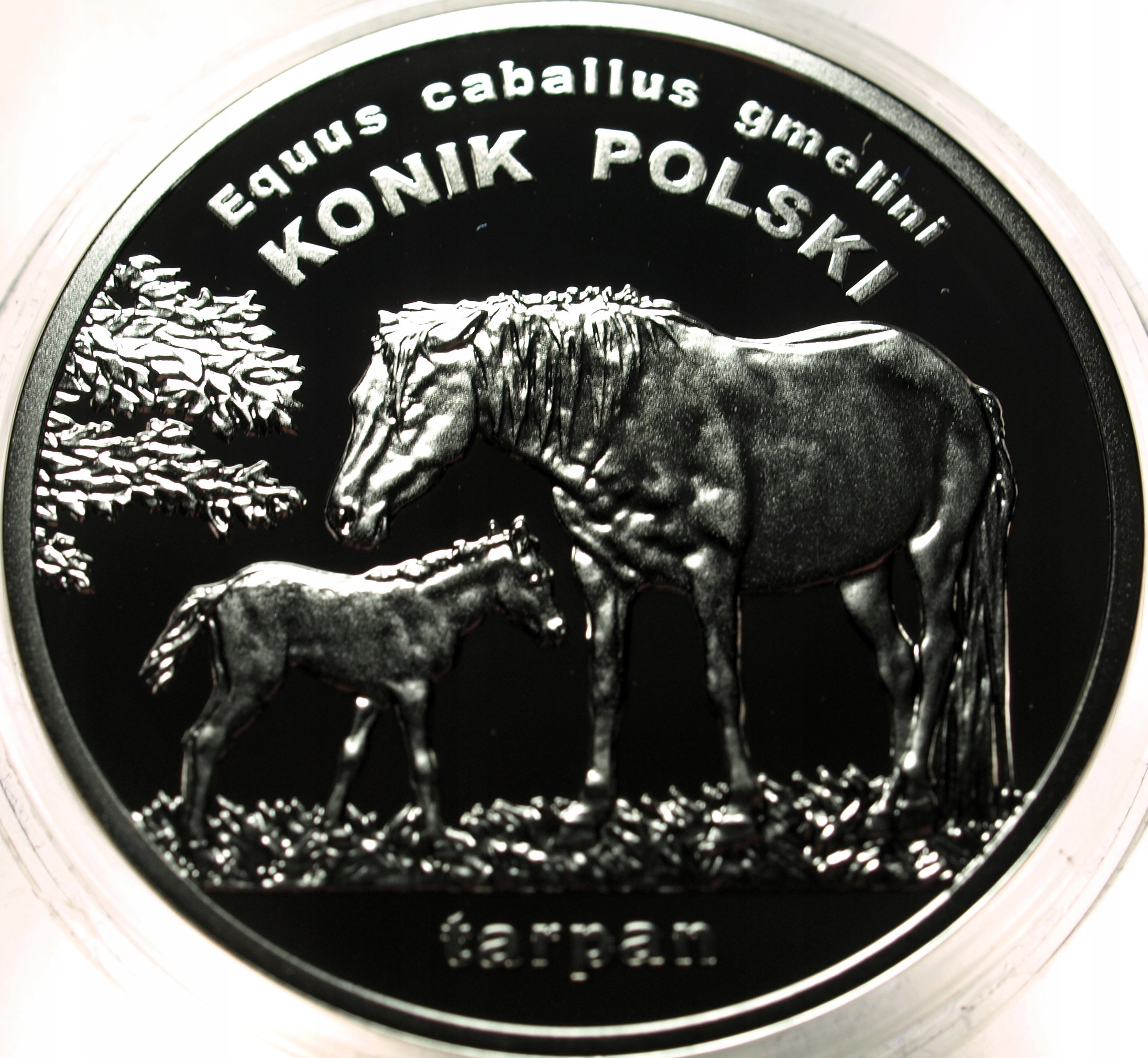 Zdjęcie 18352037837_1