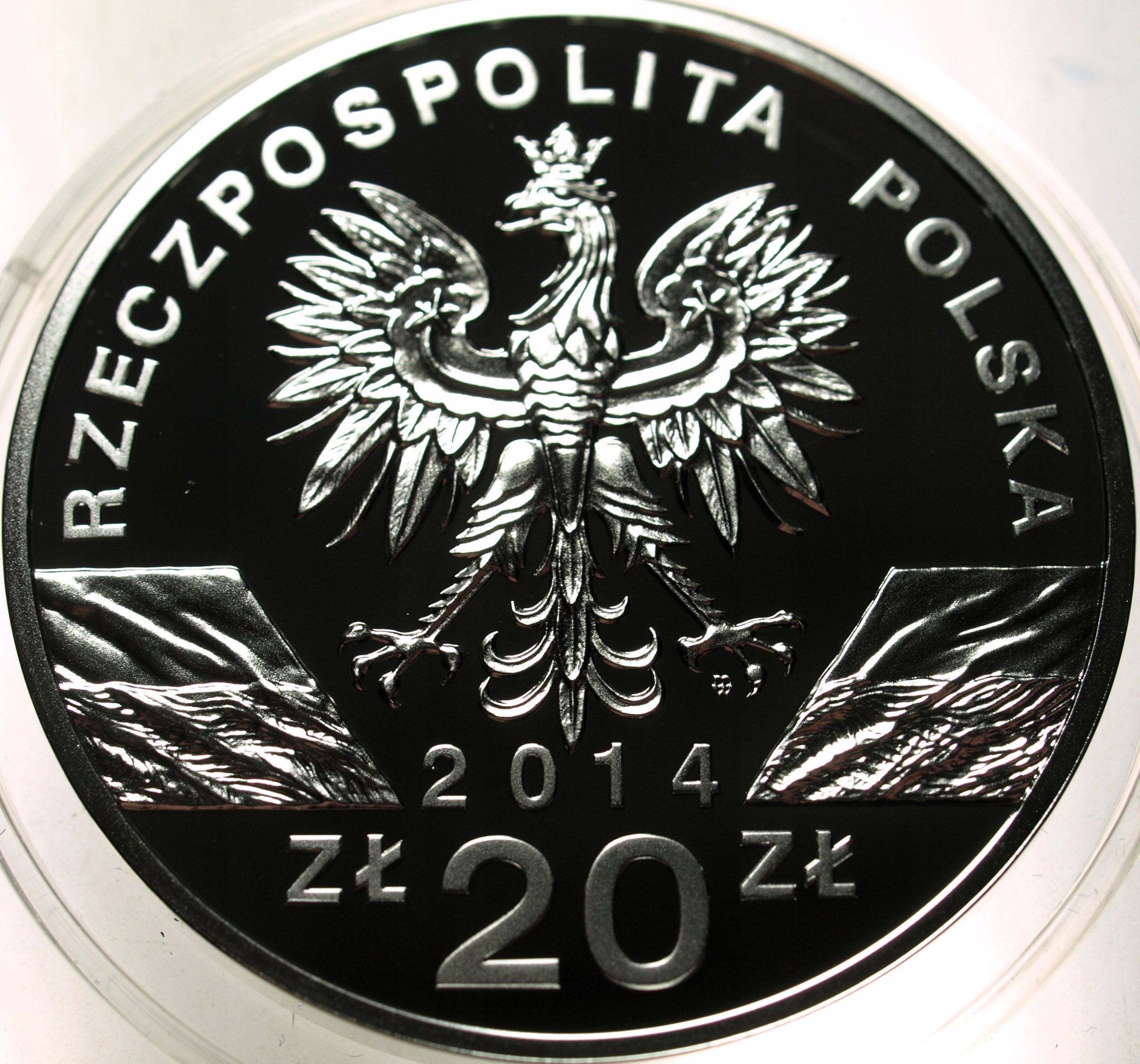 Zdjęcie 18352037837_2