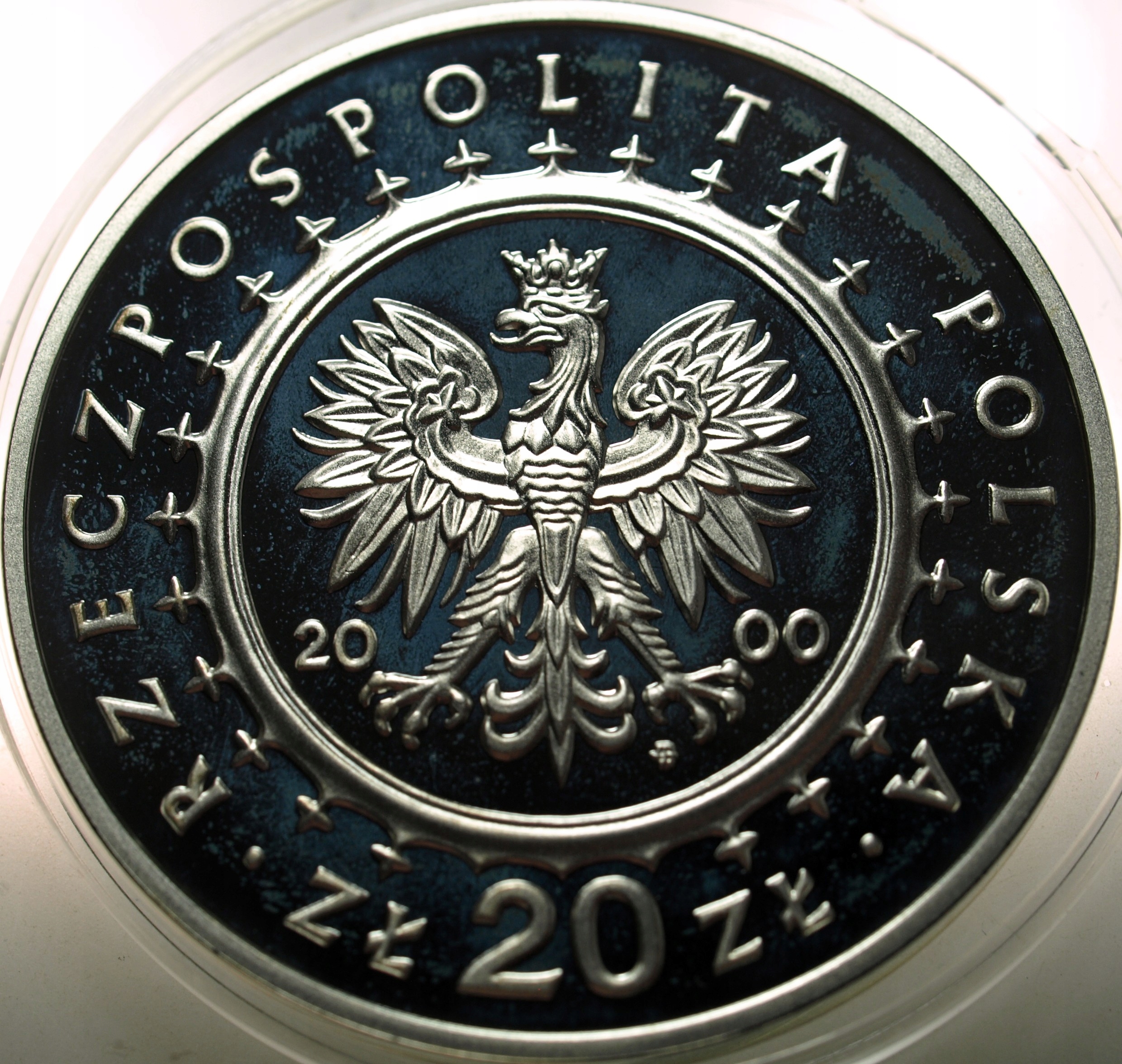 Zdjęcie 18354741824_1