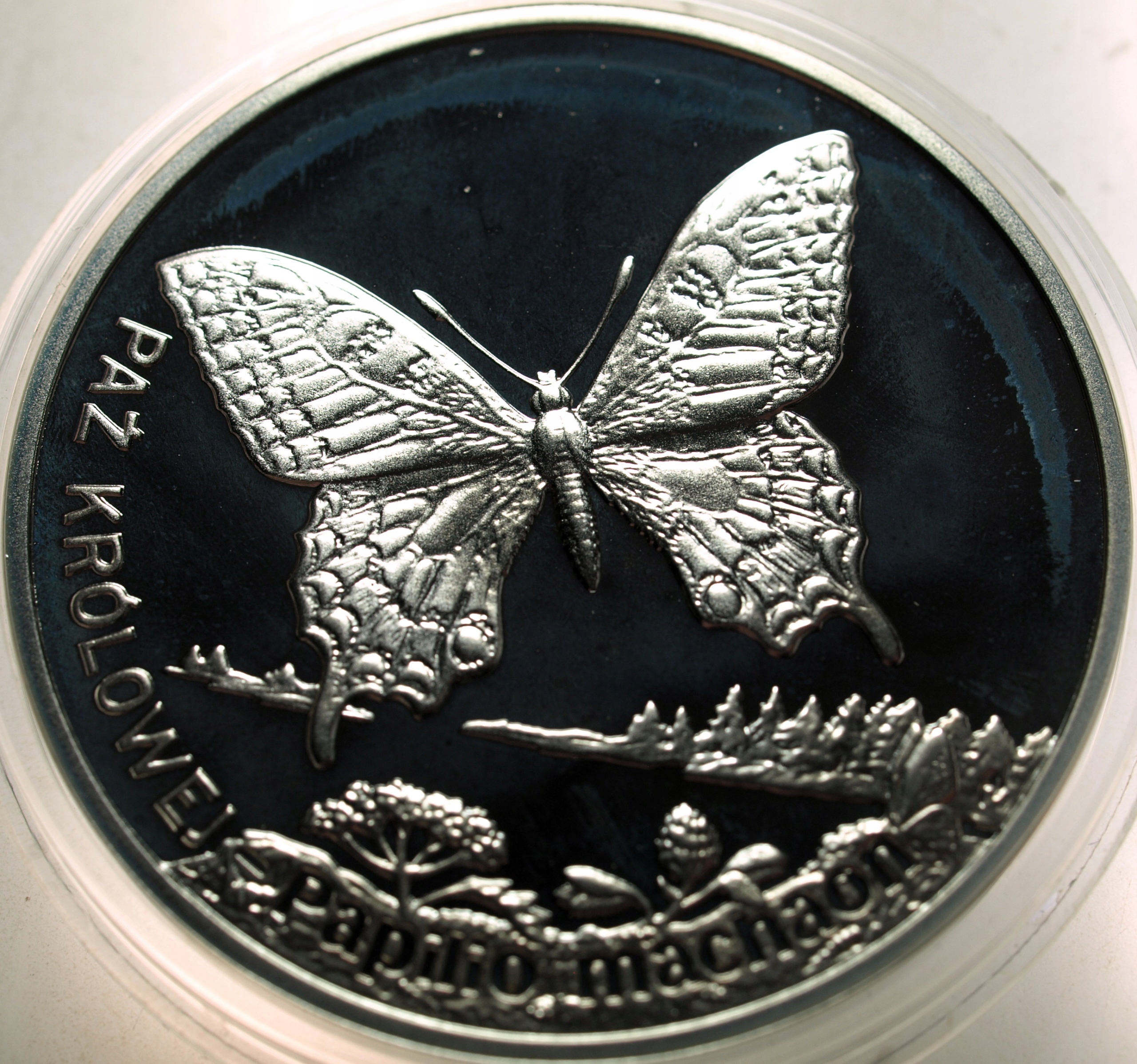 Zdjęcie 18354744628_0