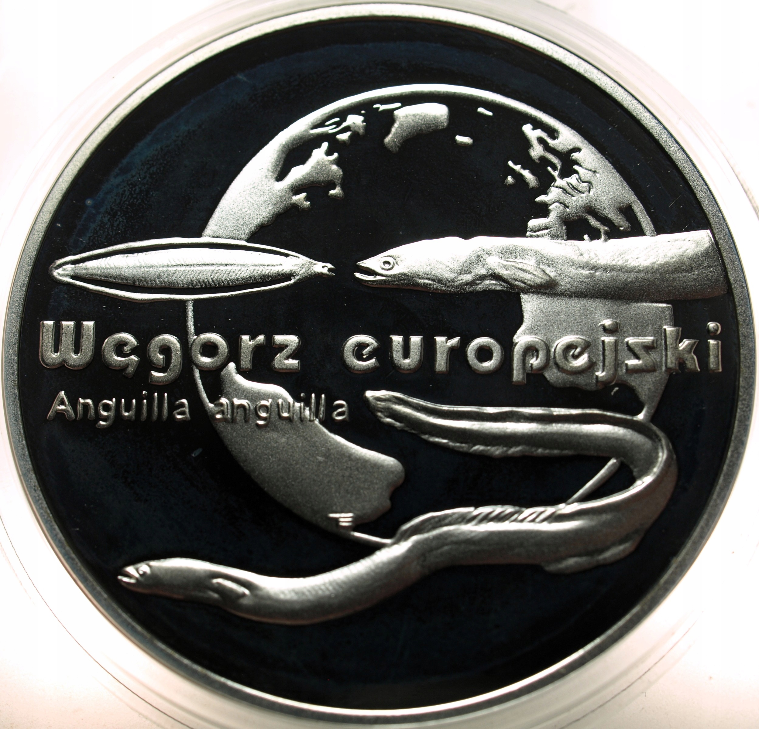 Zdjęcie 18354765559_0