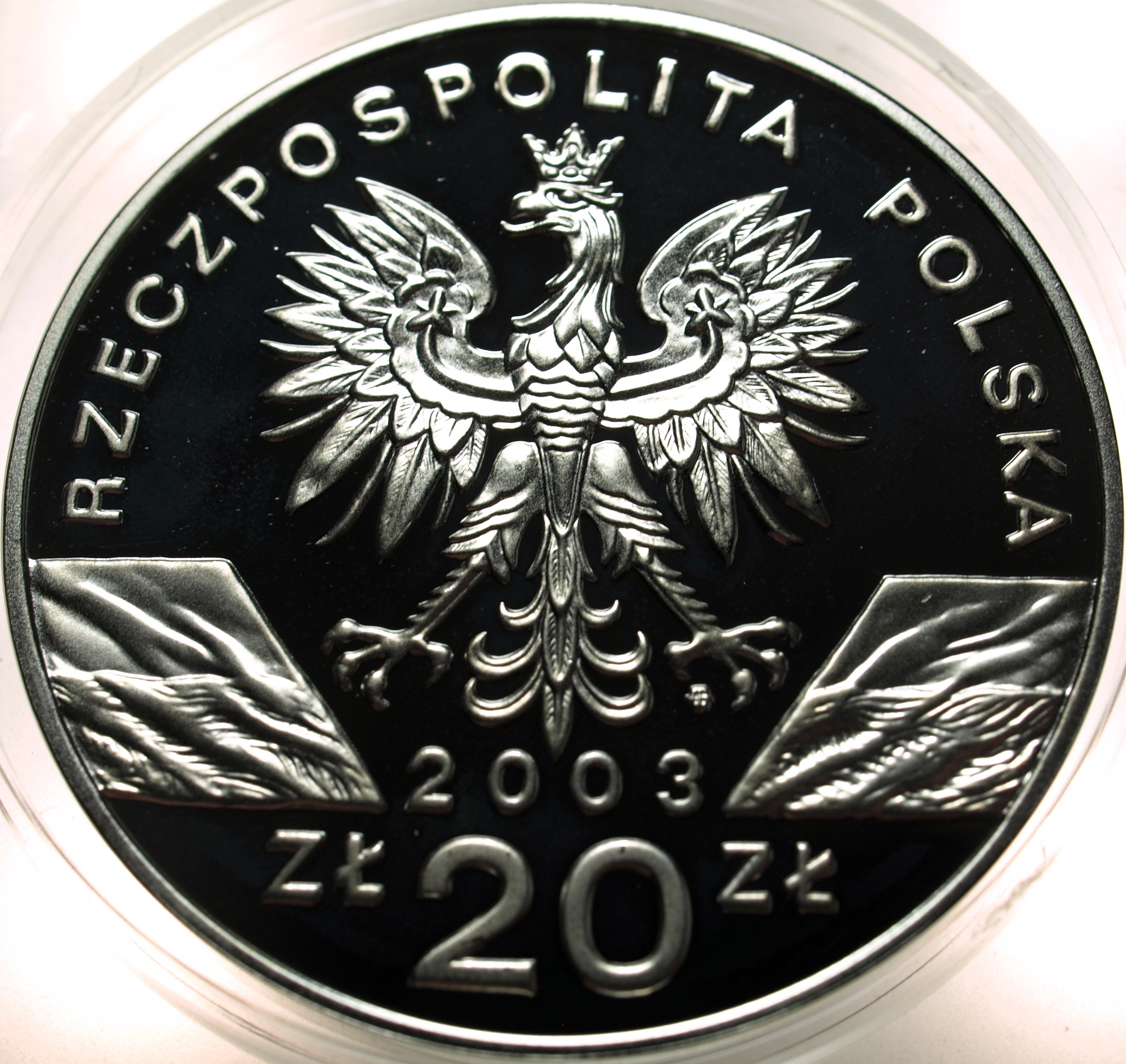 Zdjęcie 18354765559_1