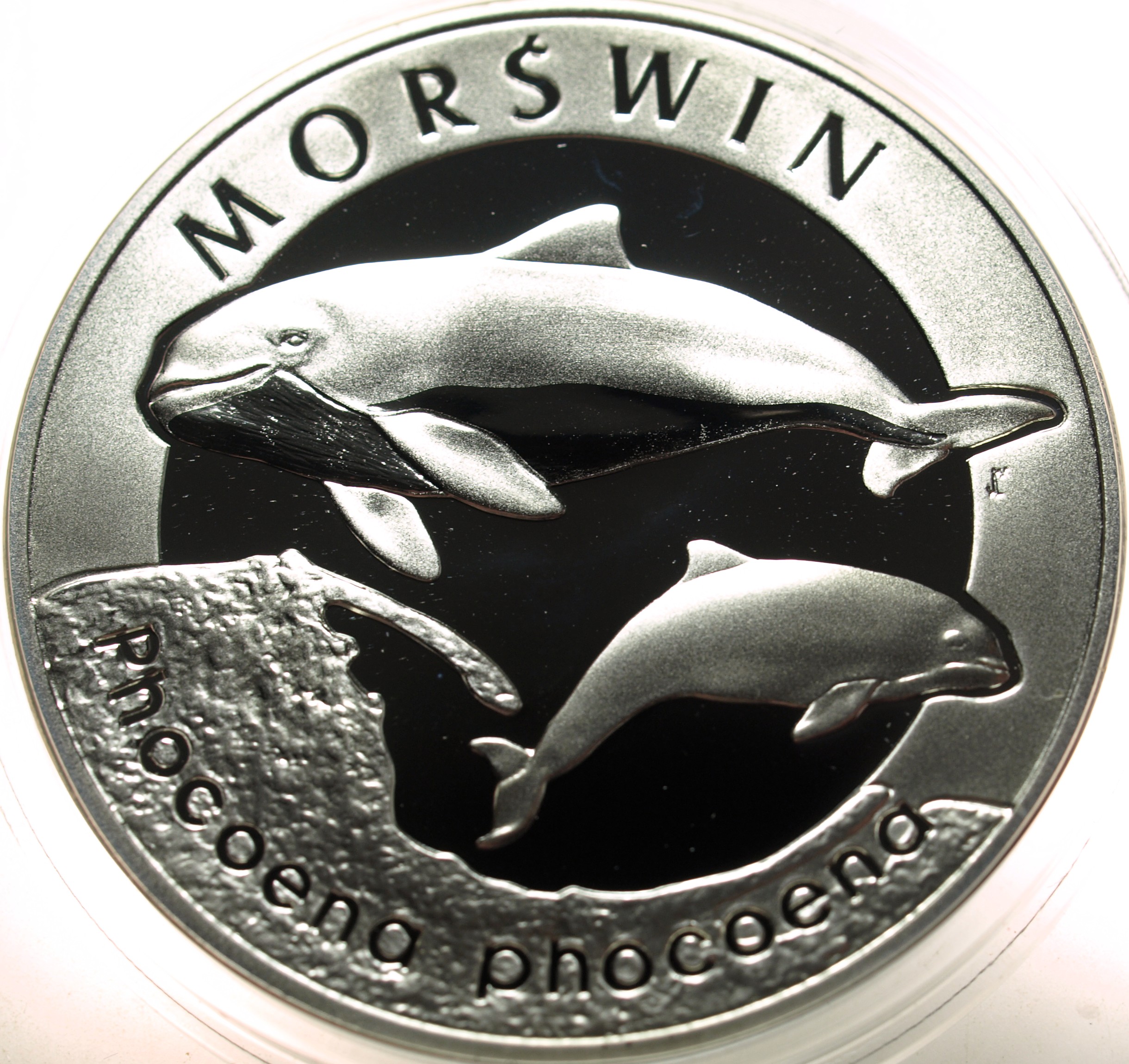 Zdjęcie 18354773686_0