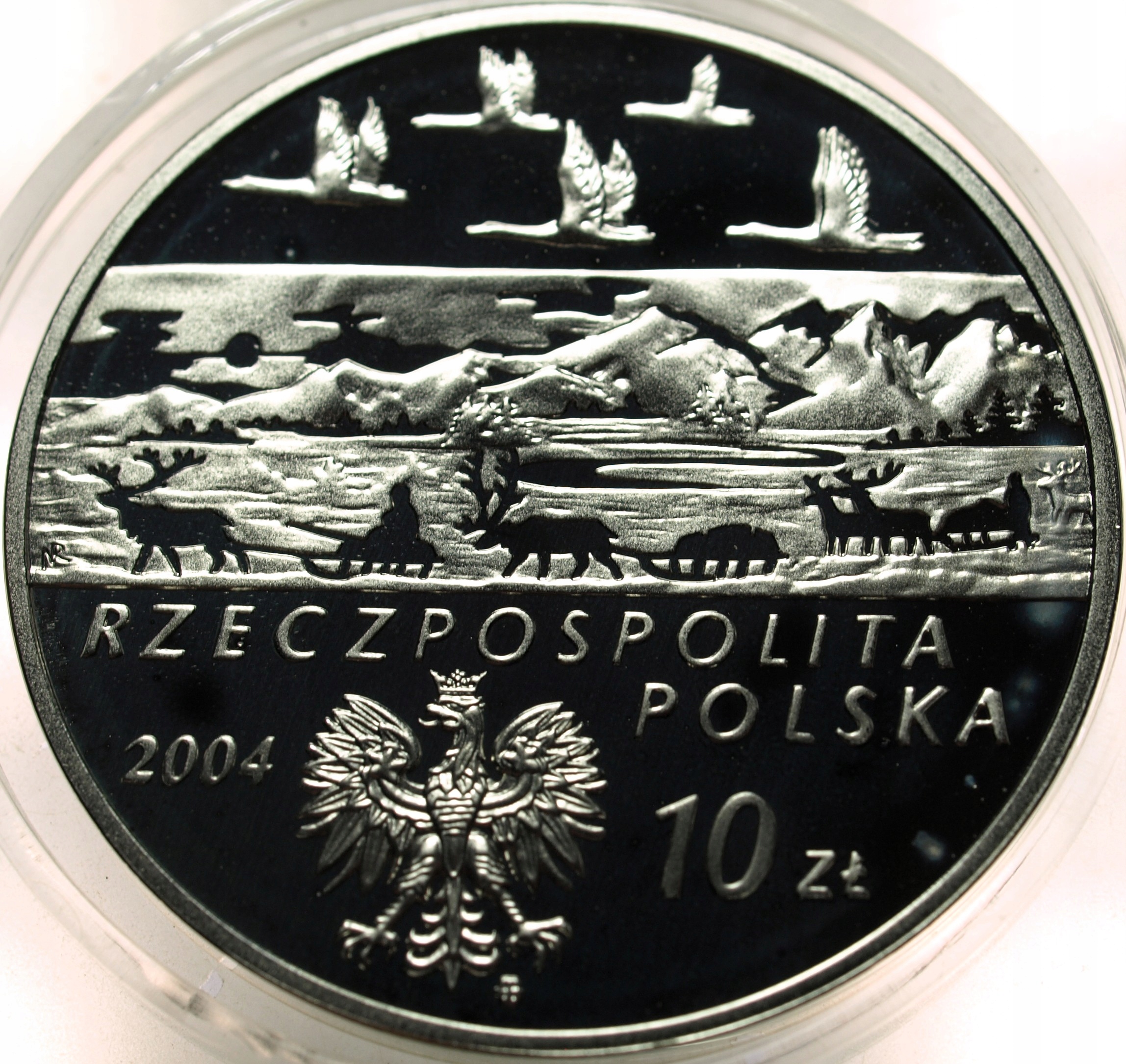 Zdjęcie 18355106385_1