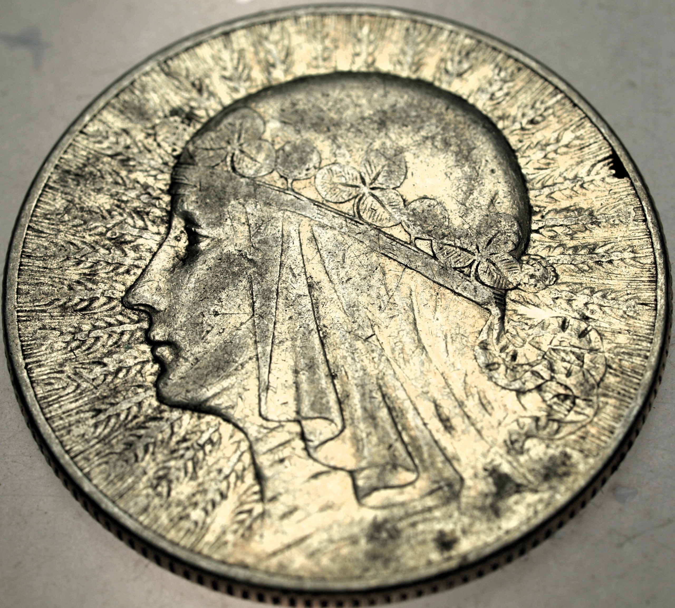 Zdjęcie 18358269338_0