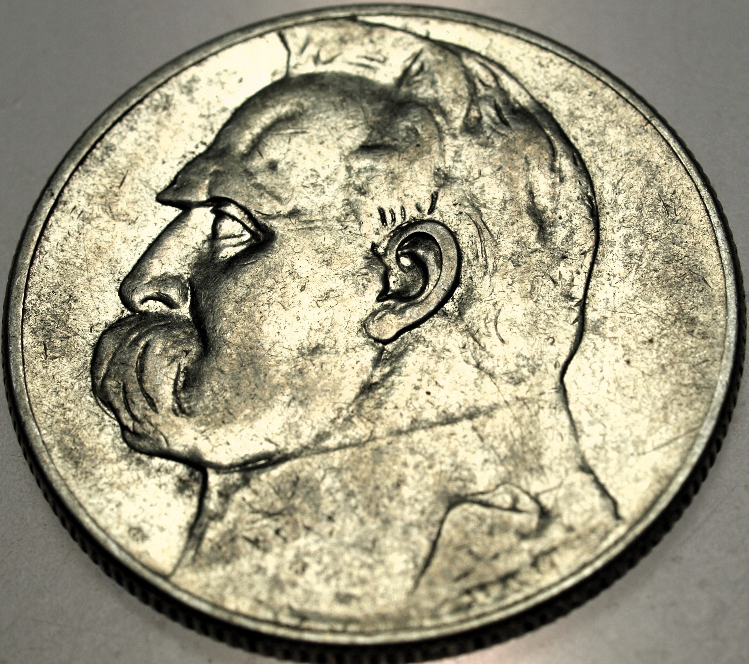 Zdjęcie 18358273412_0