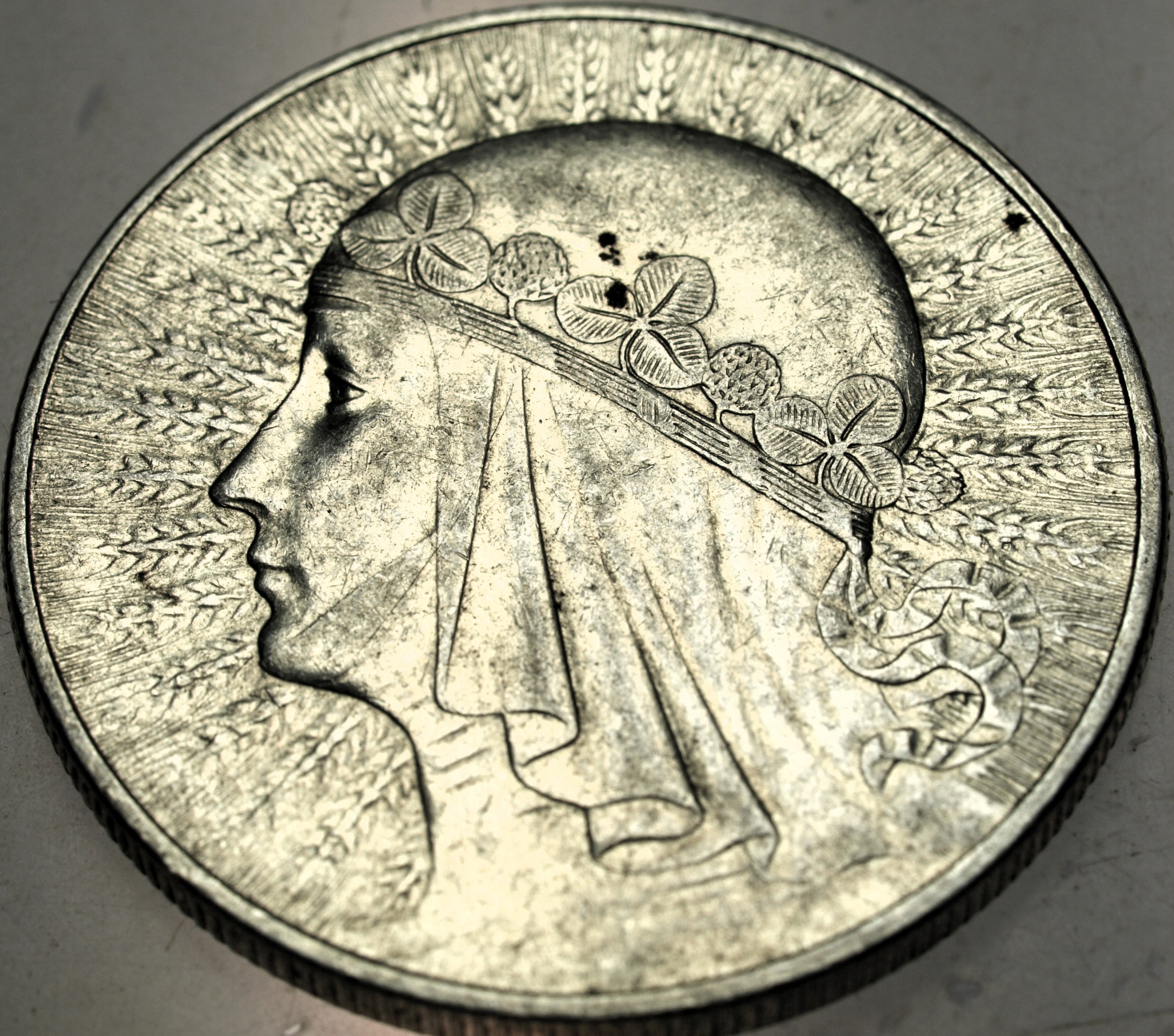 Zdjęcie 18358278051_0