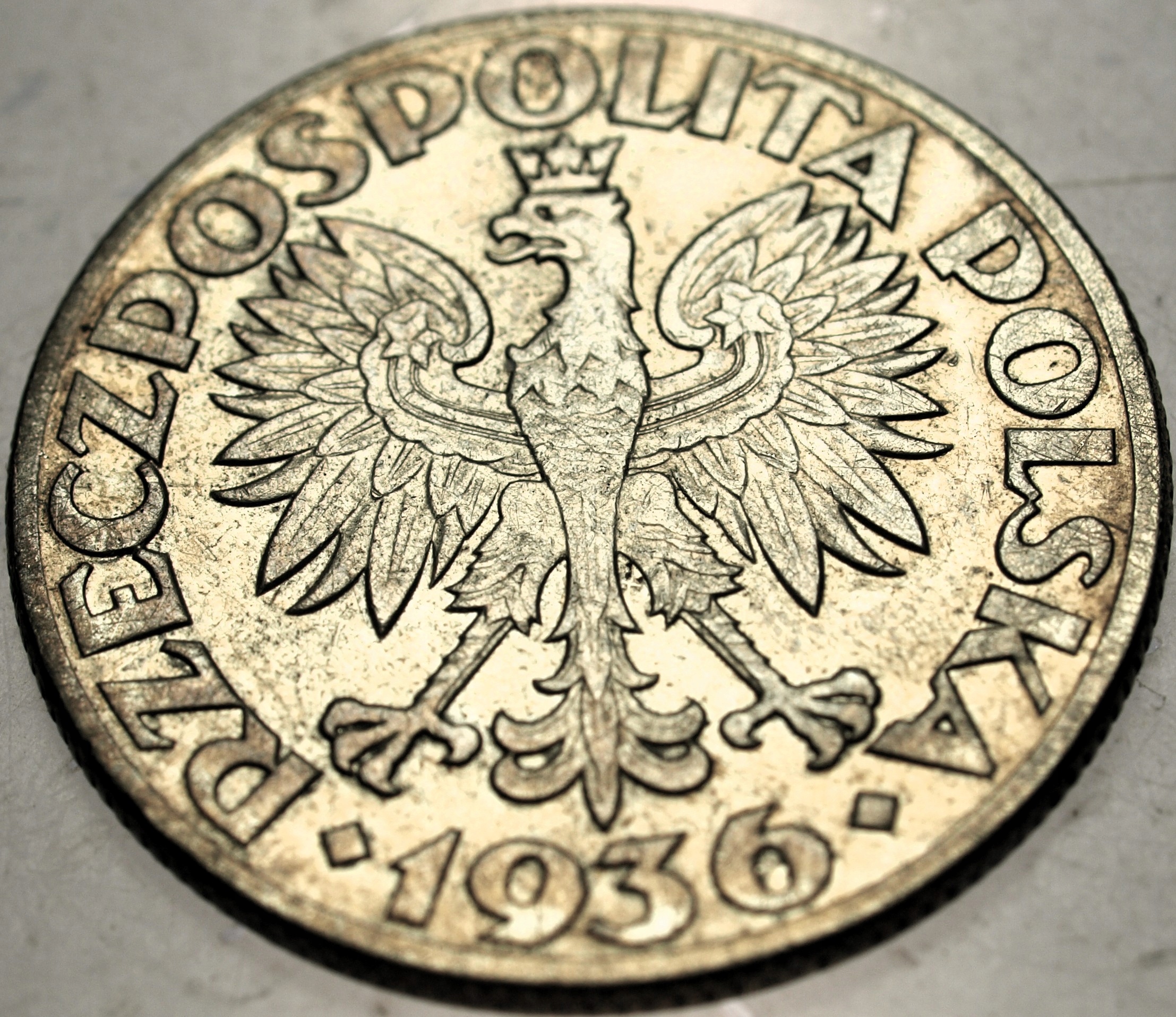 Zdjęcie 18387702374_1