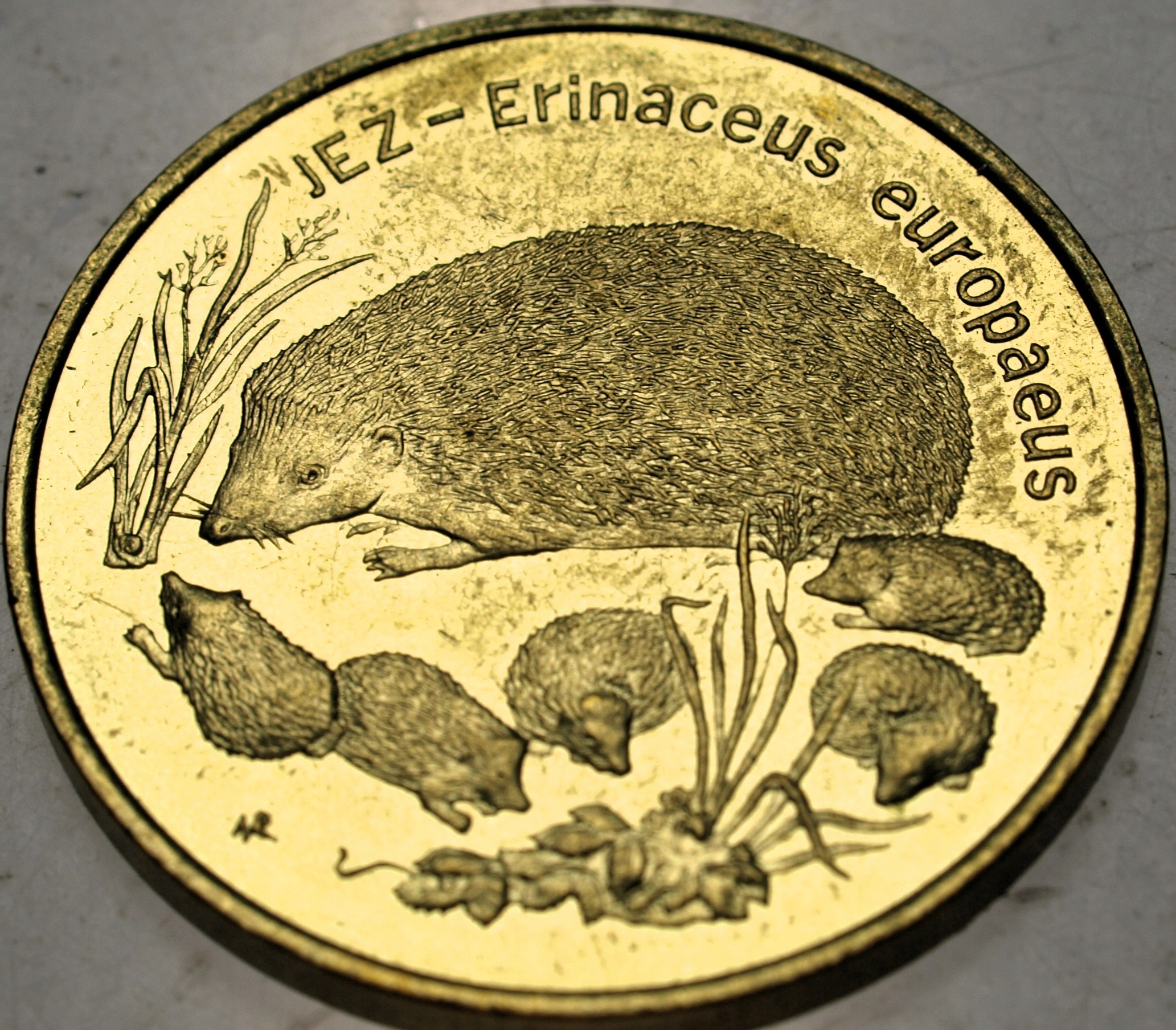 Zdjęcie 18396652964_0