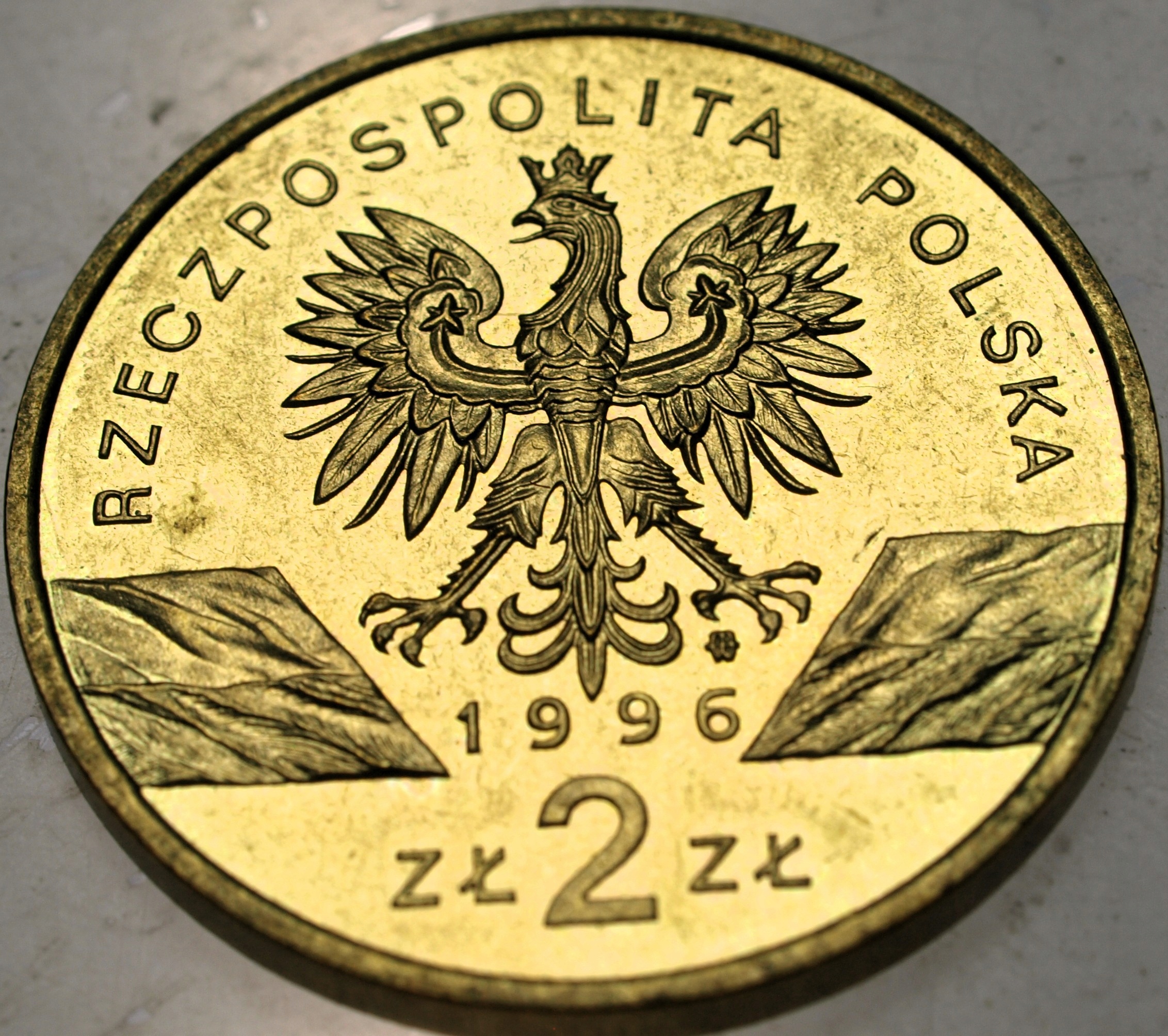 Zdjęcie 18396652964_1