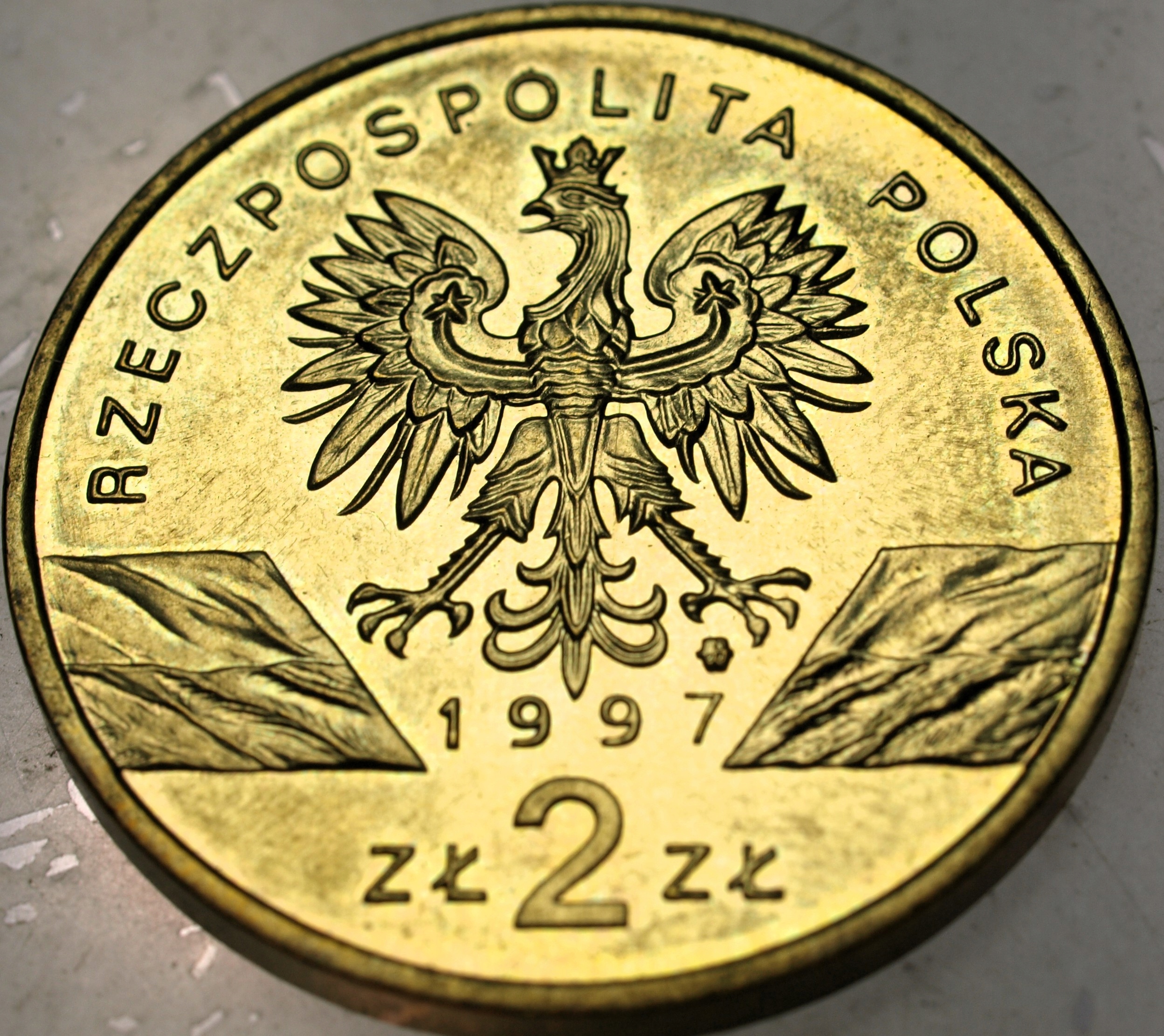 Zdjęcie 18396655059_1