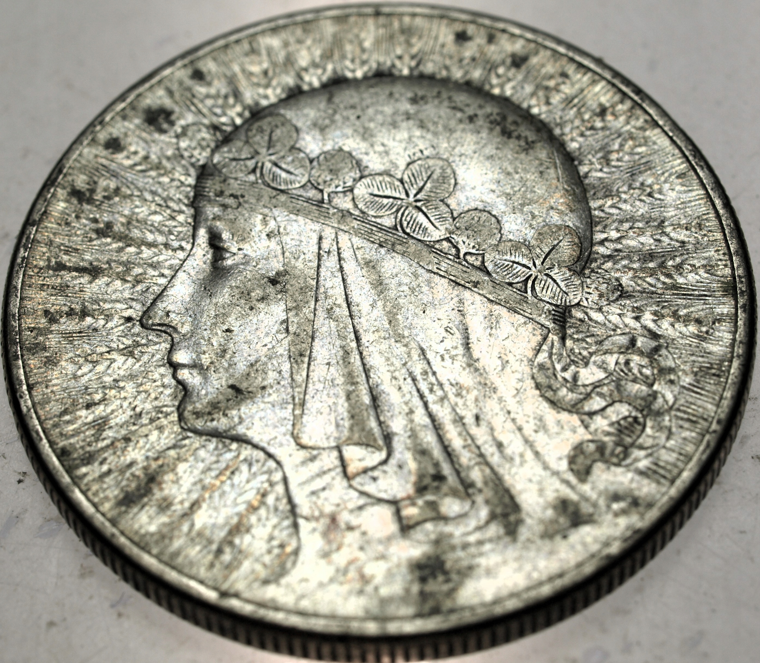 Zdjęcie 18396670188_0