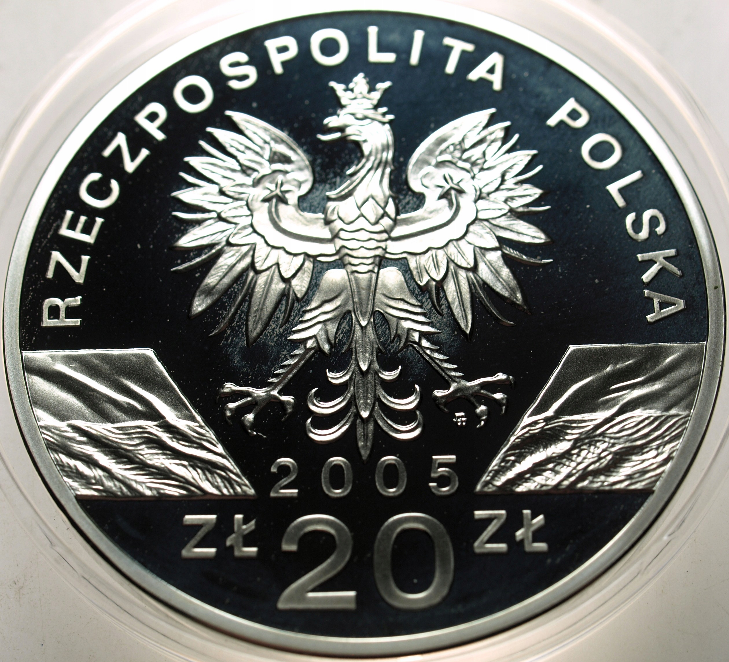 Zdjęcie 18396709879_1