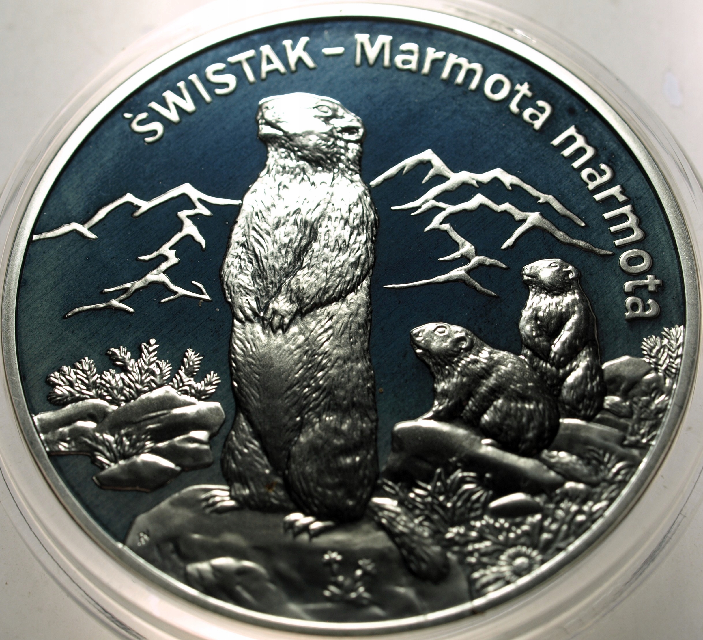 Zdjęcie 18396717050_0