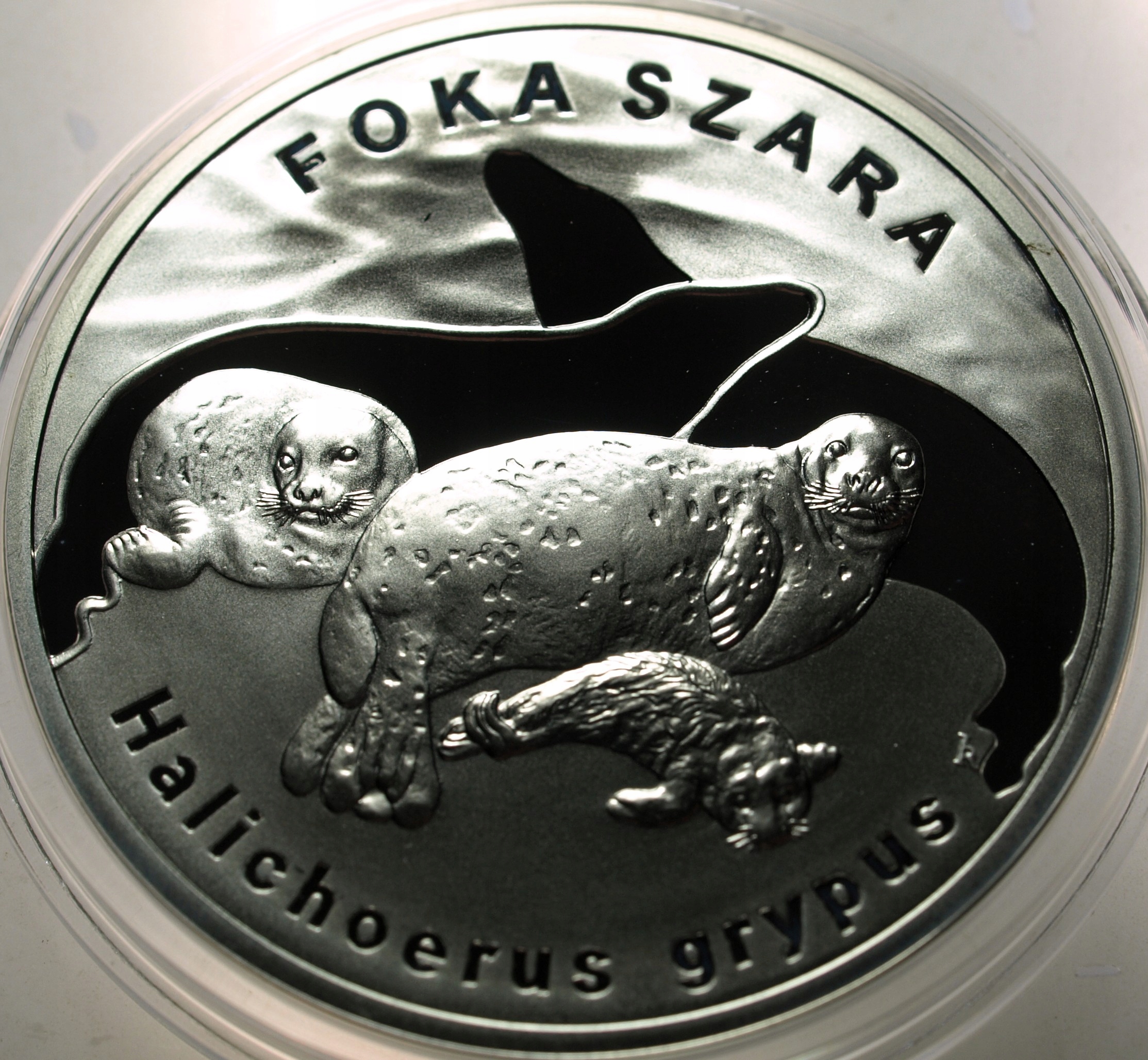 Zdjęcie 18396719559_0