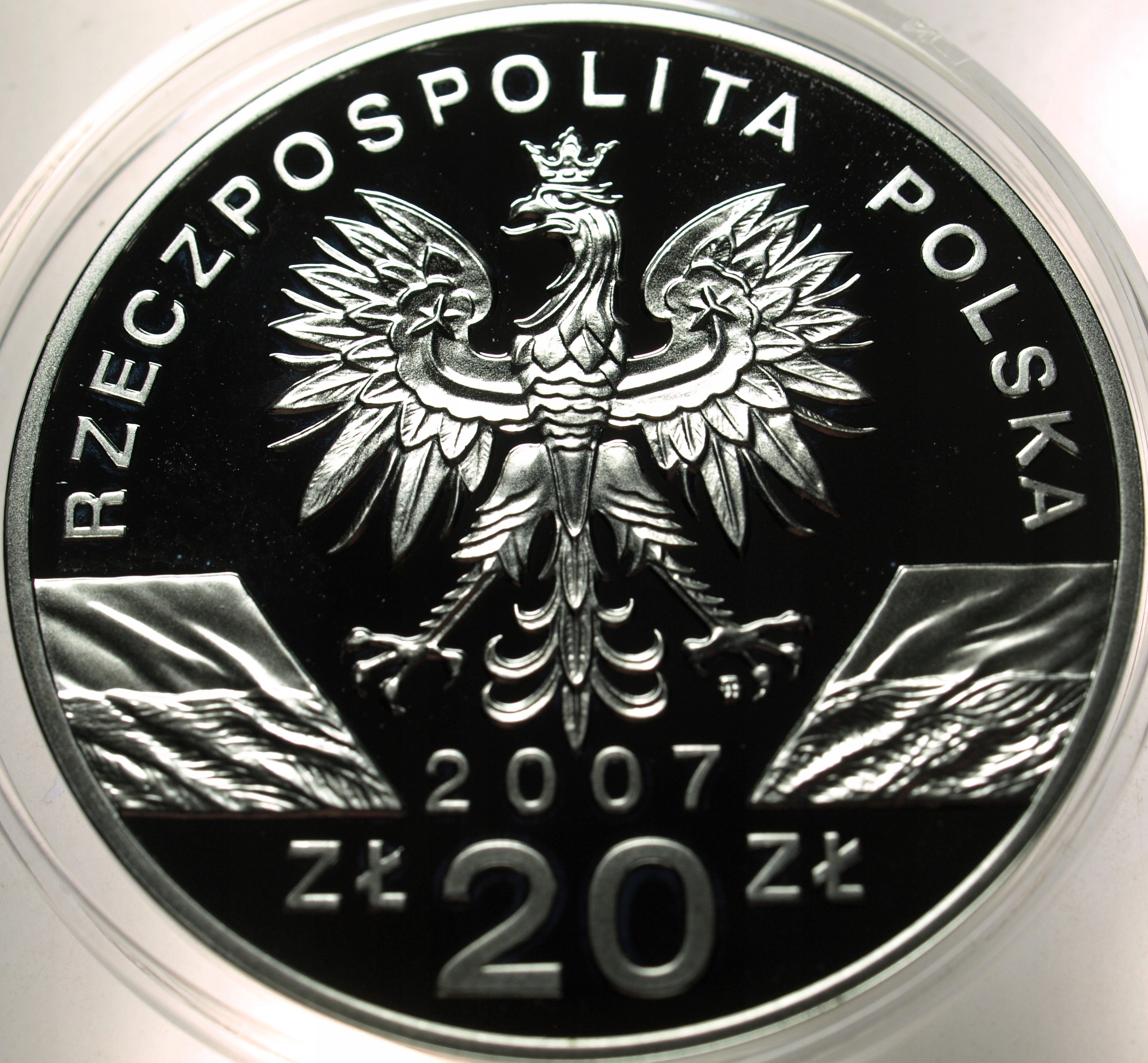 Zdjęcie 18396719559_1