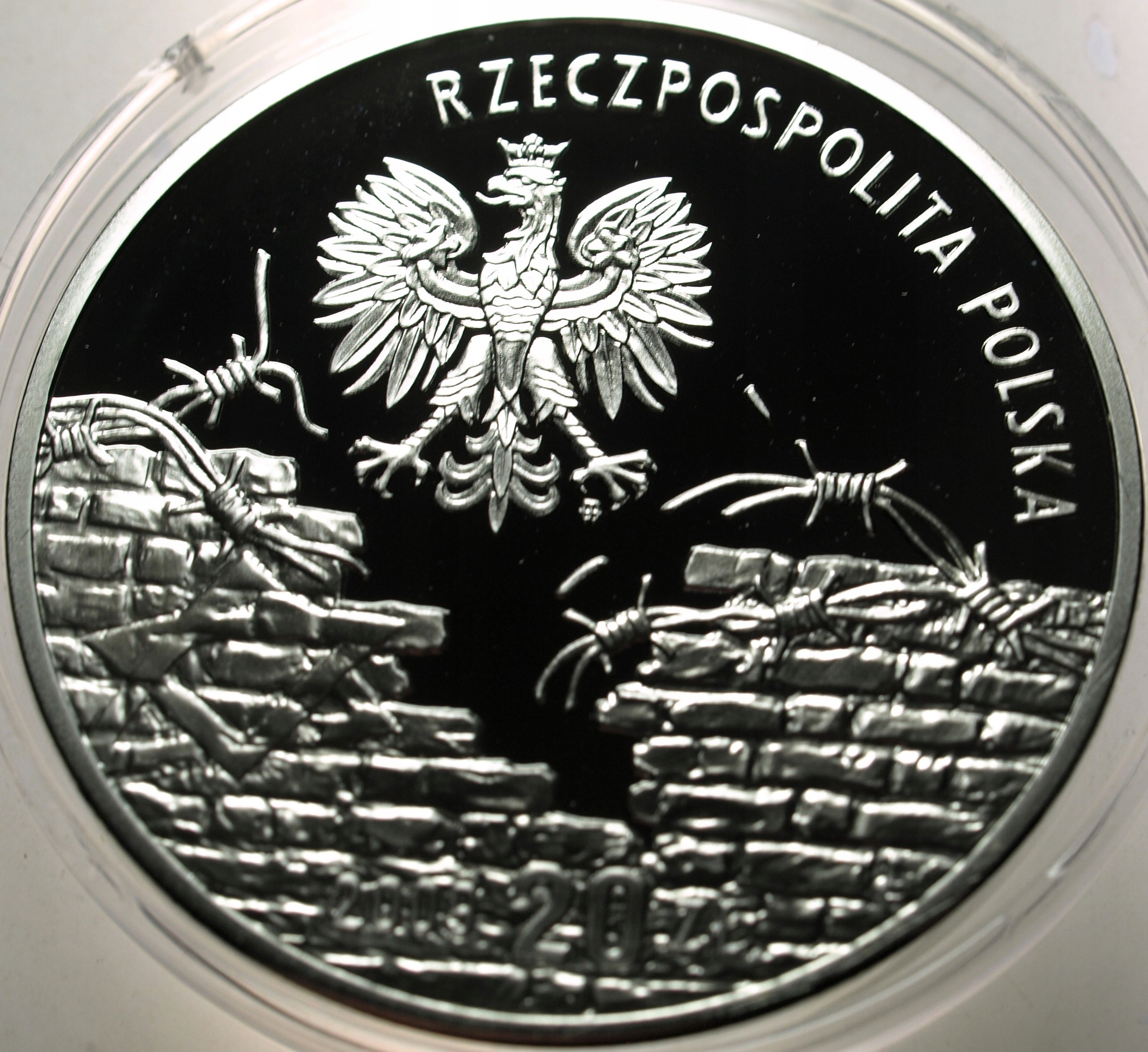 Zdjęcie 18396732800_1