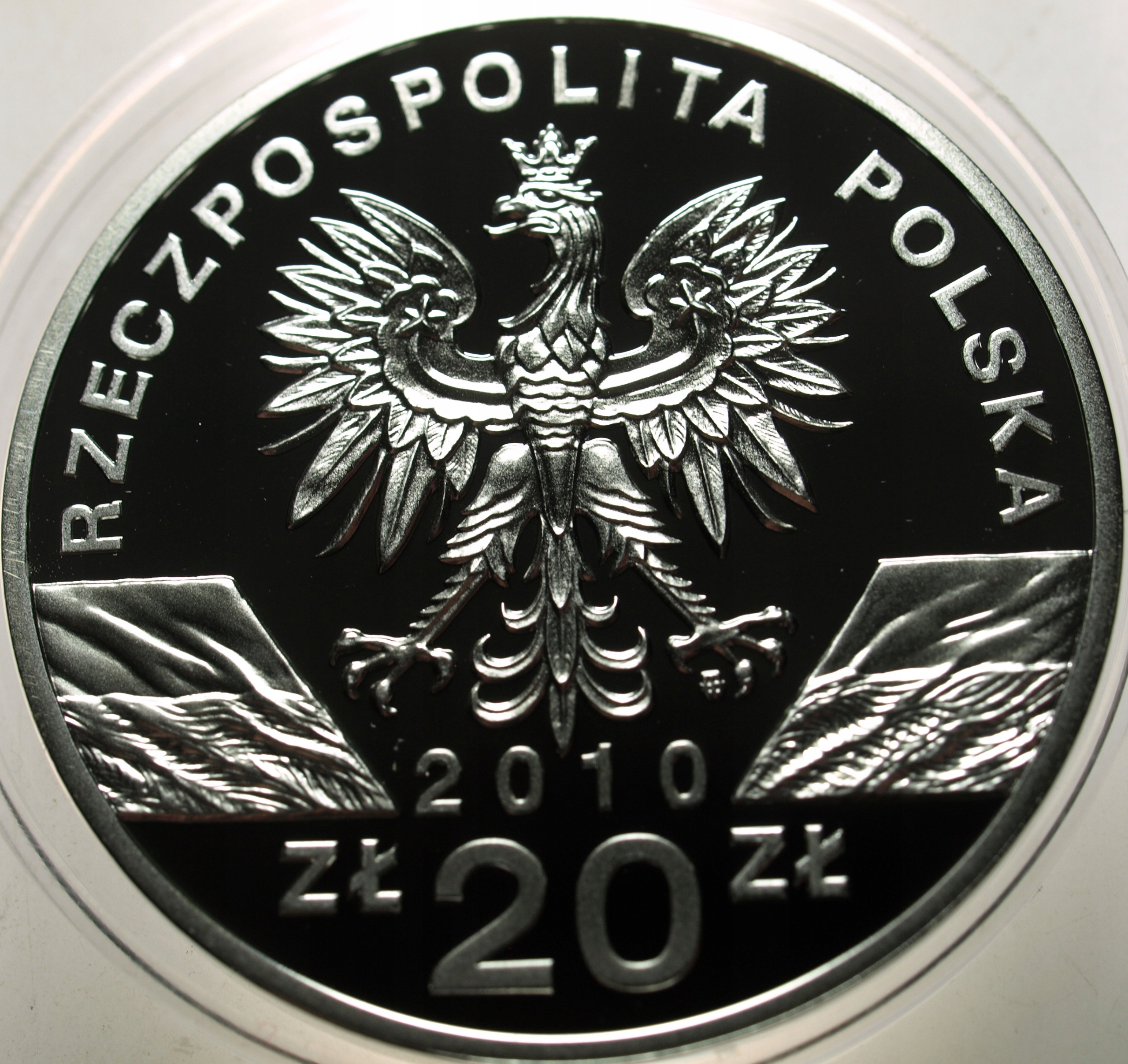 Zdjęcie 18396736942_1