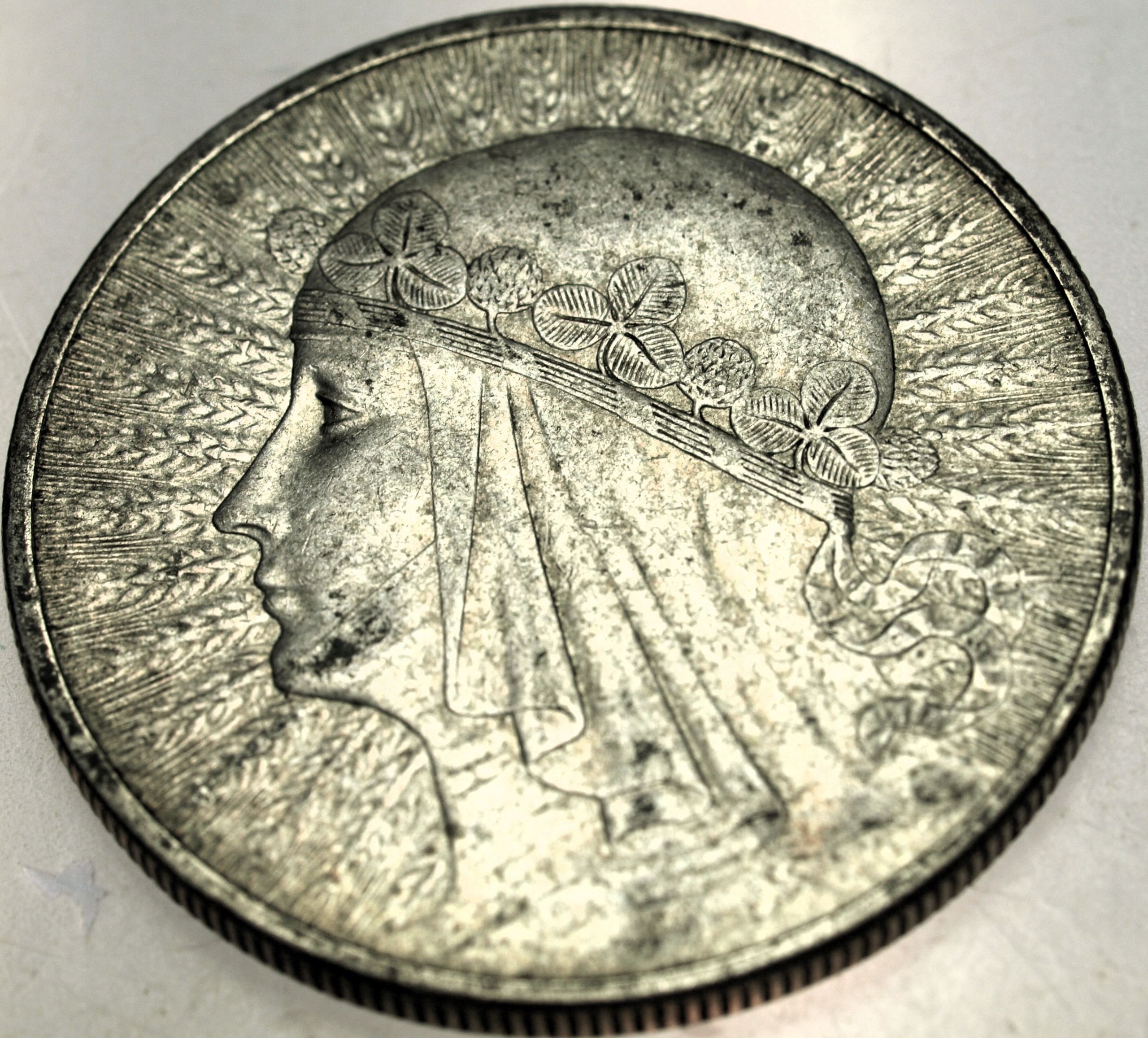 Zdjęcie 18399048146_0