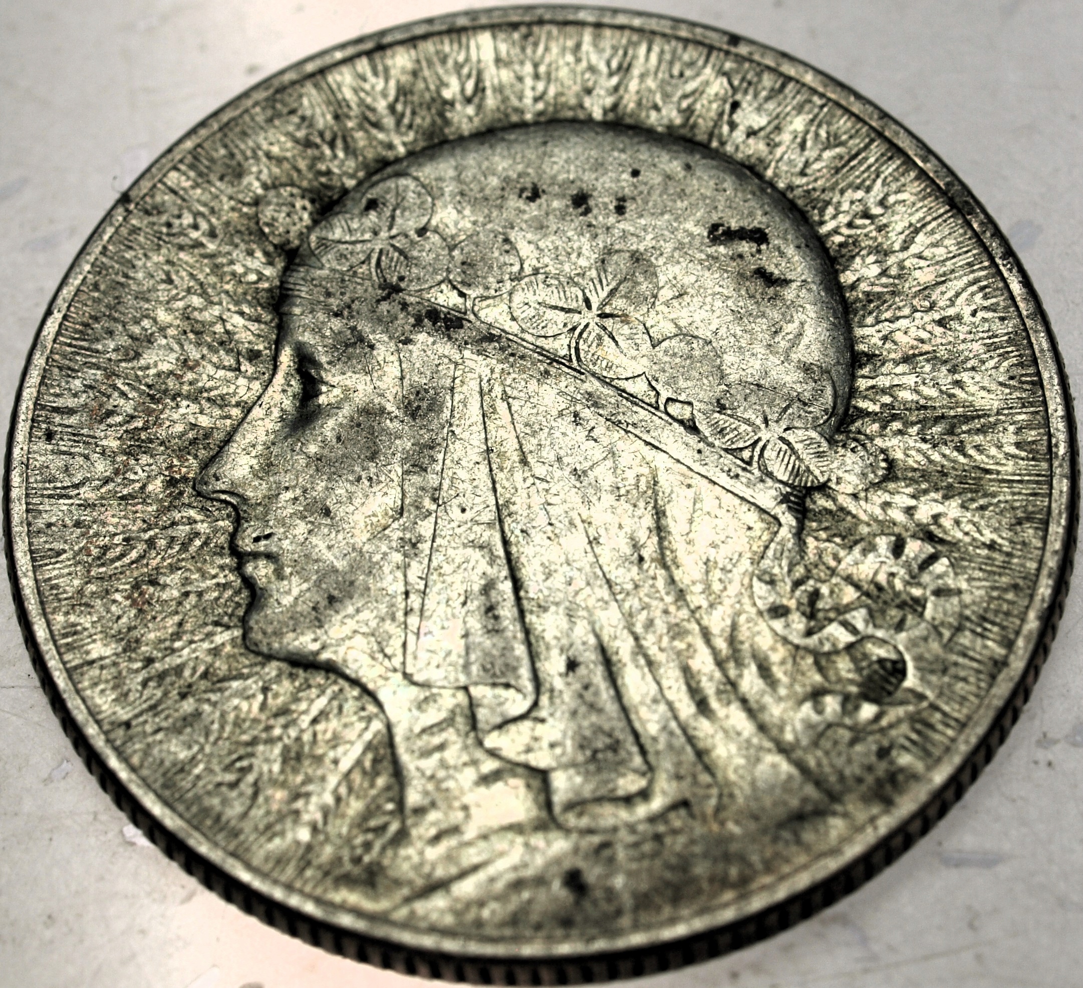 Zdjęcie 18402404099_0