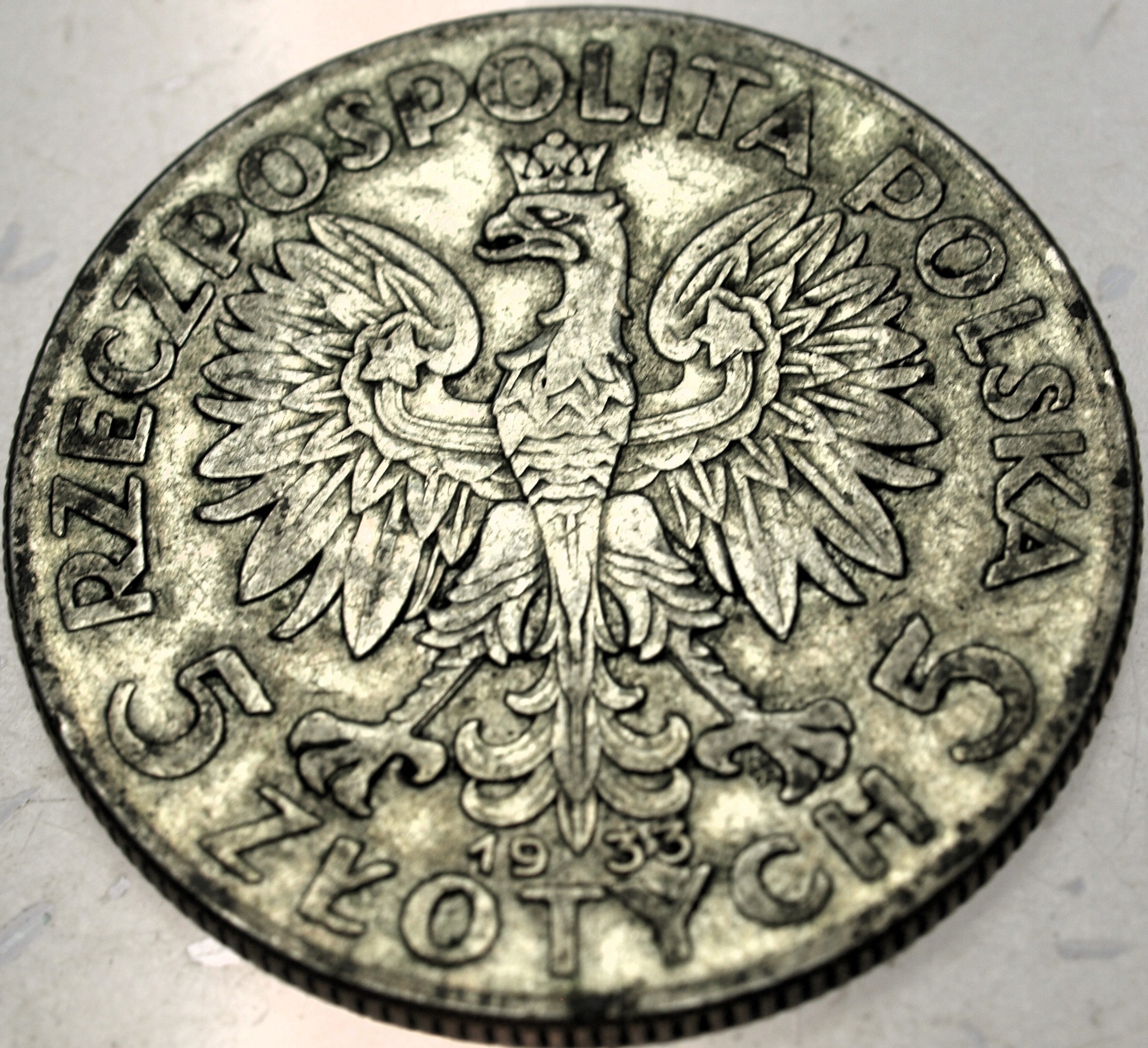 Zdjęcie 18402404099_1