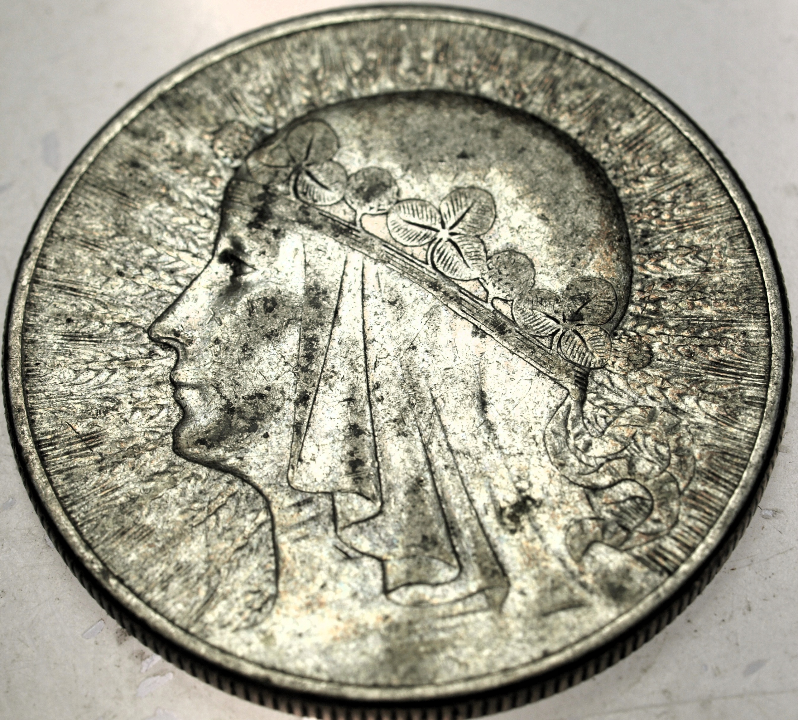 Zdjęcie 18402737656_0