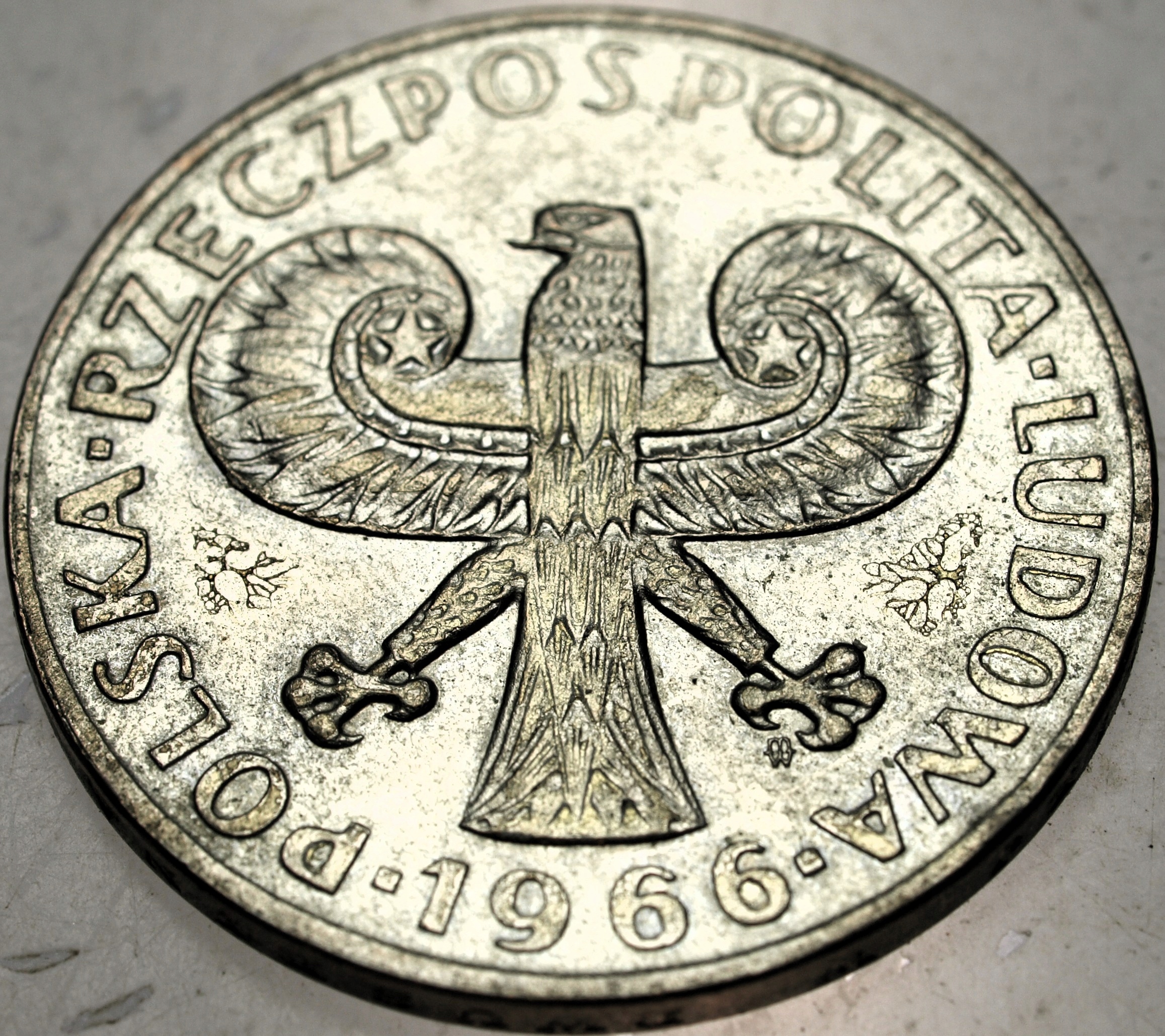 Zdjęcie 18419142592_1