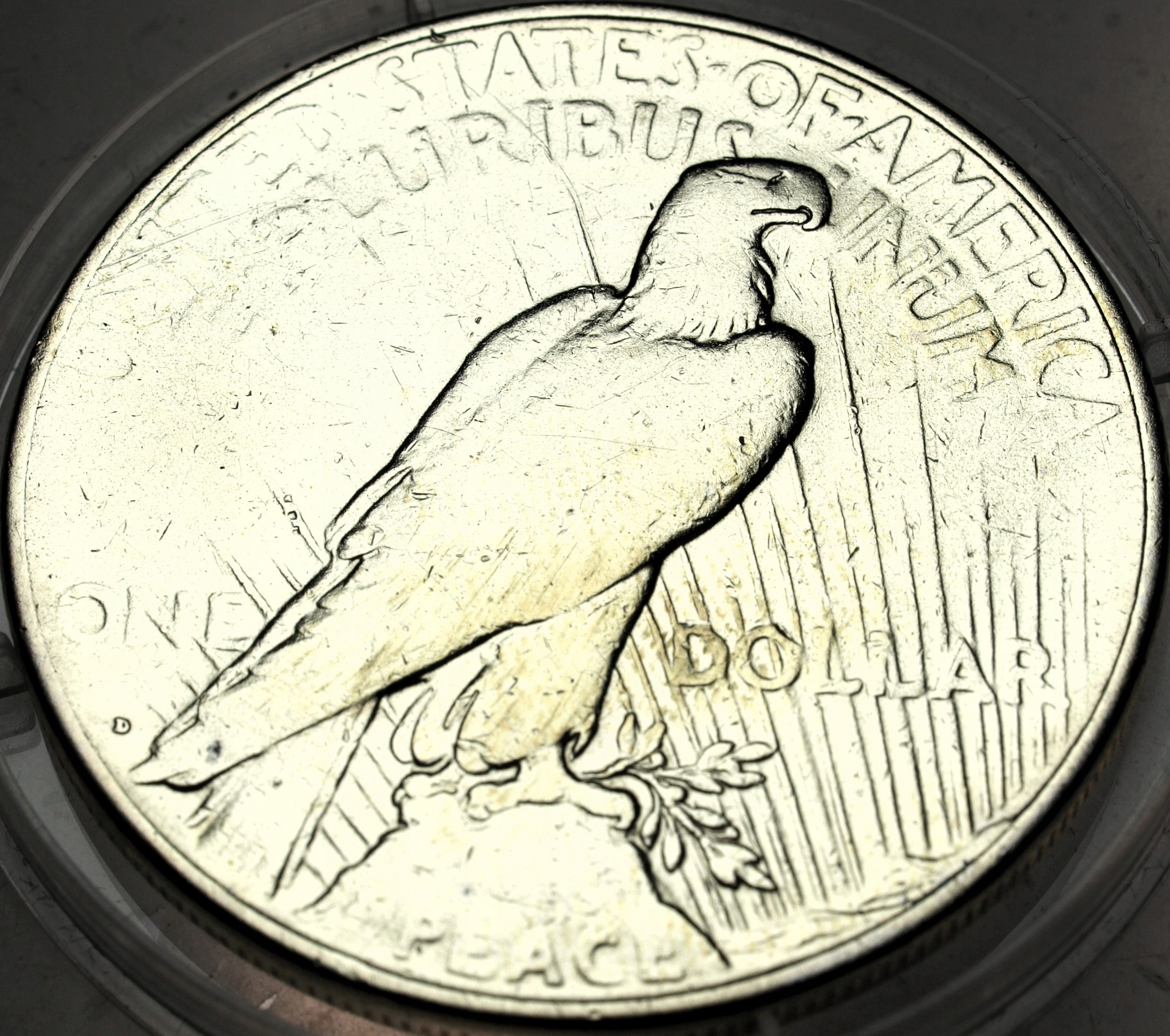 Zdjęcie 18419706005_0