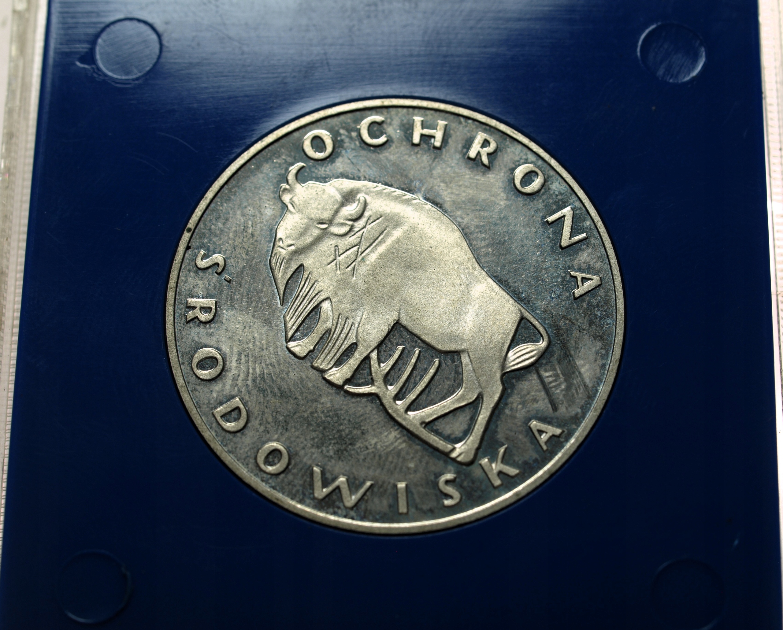 Zdjęcie 18423084447_0