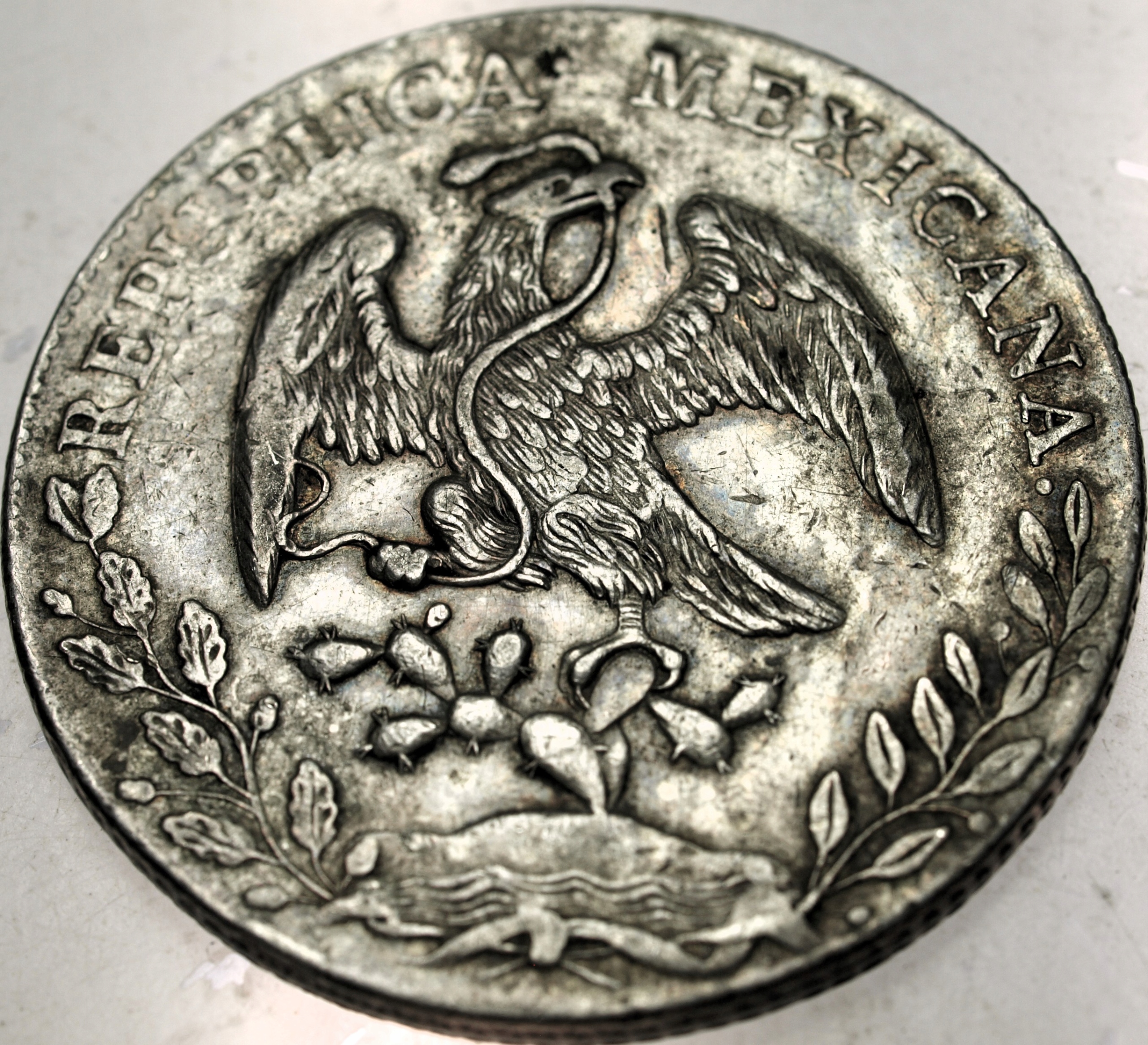 Zdjęcie 18423117296_1