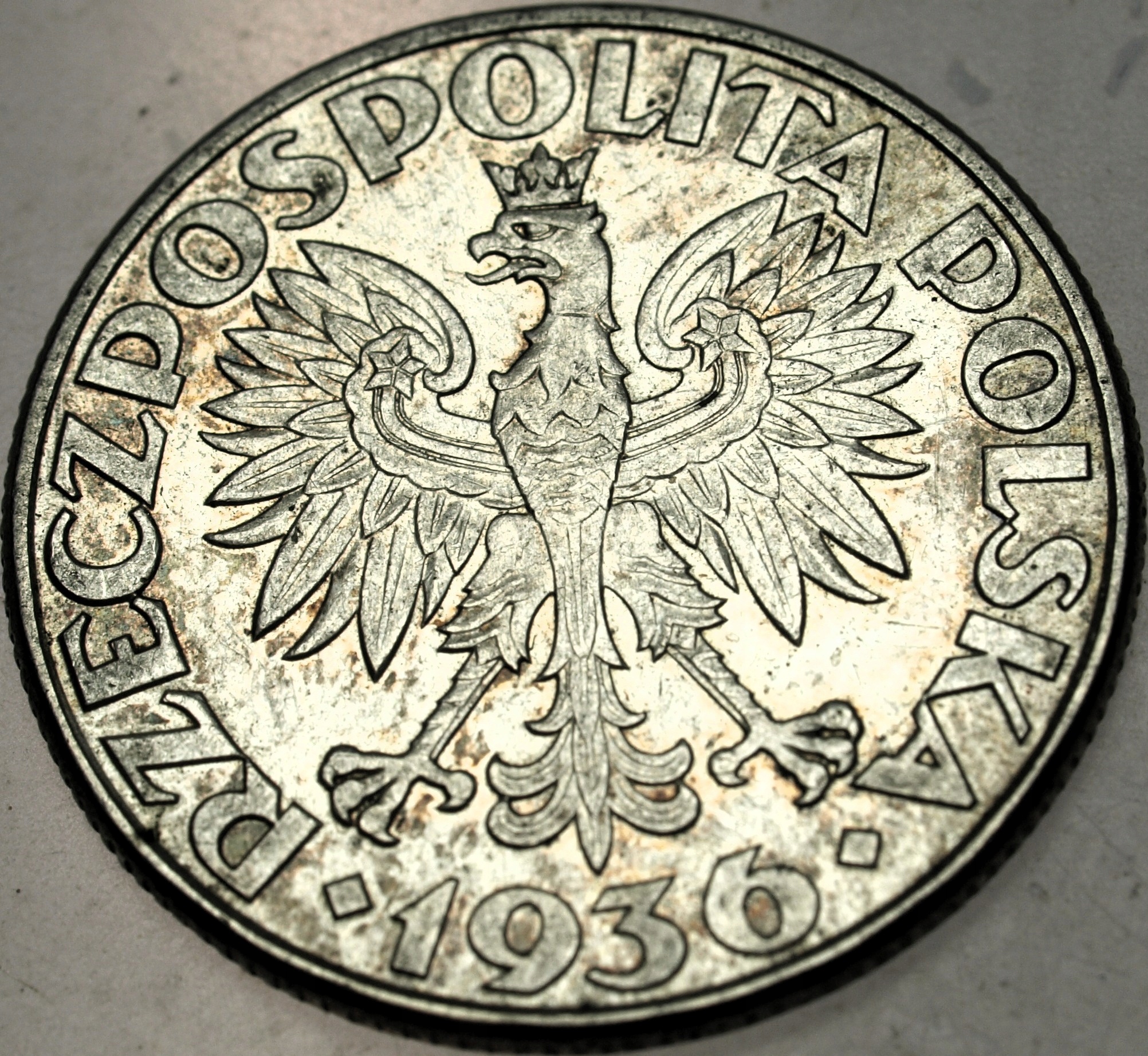 Zdjęcie 18425868233_1