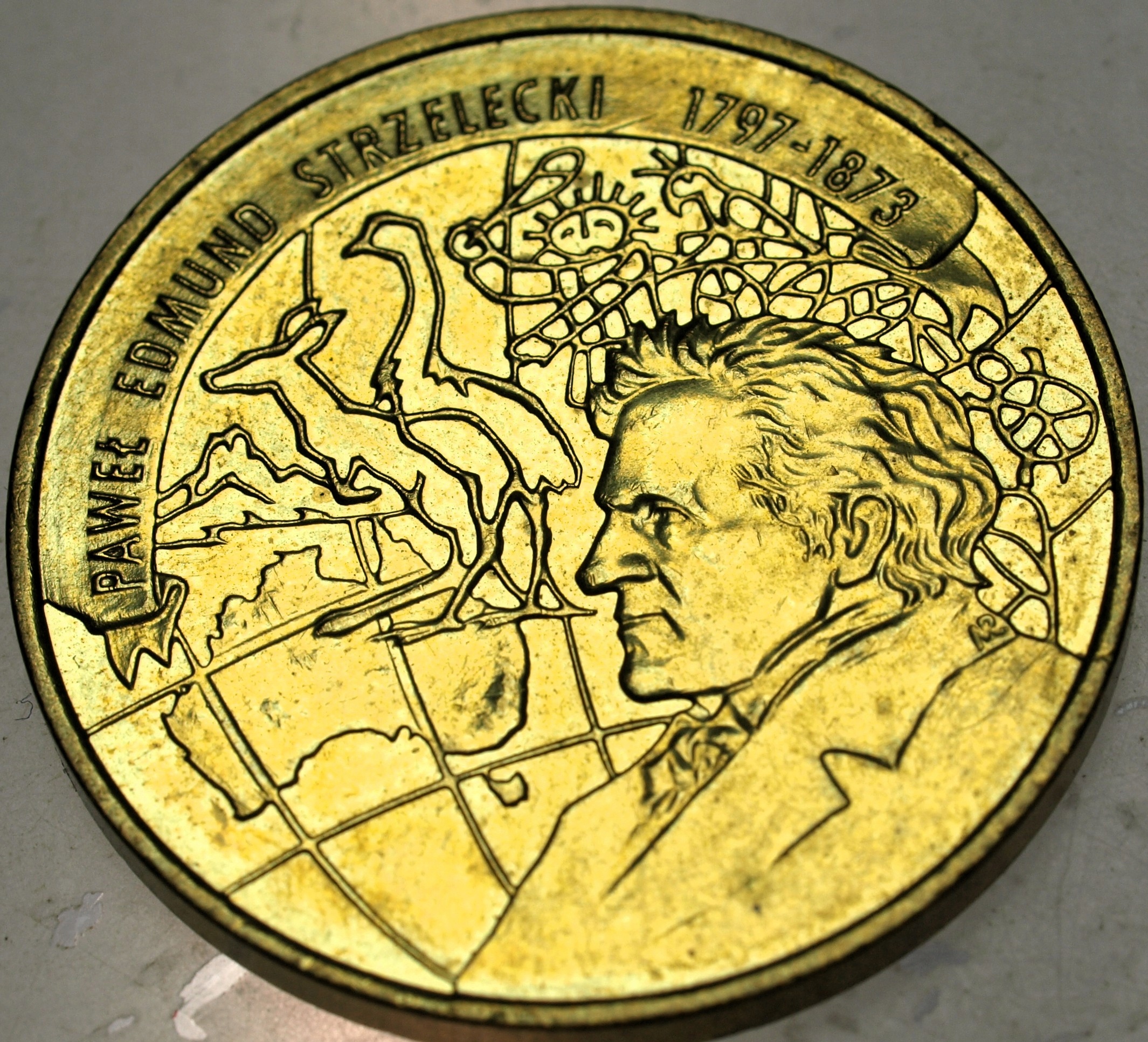 Zdjęcie 18425869727_0