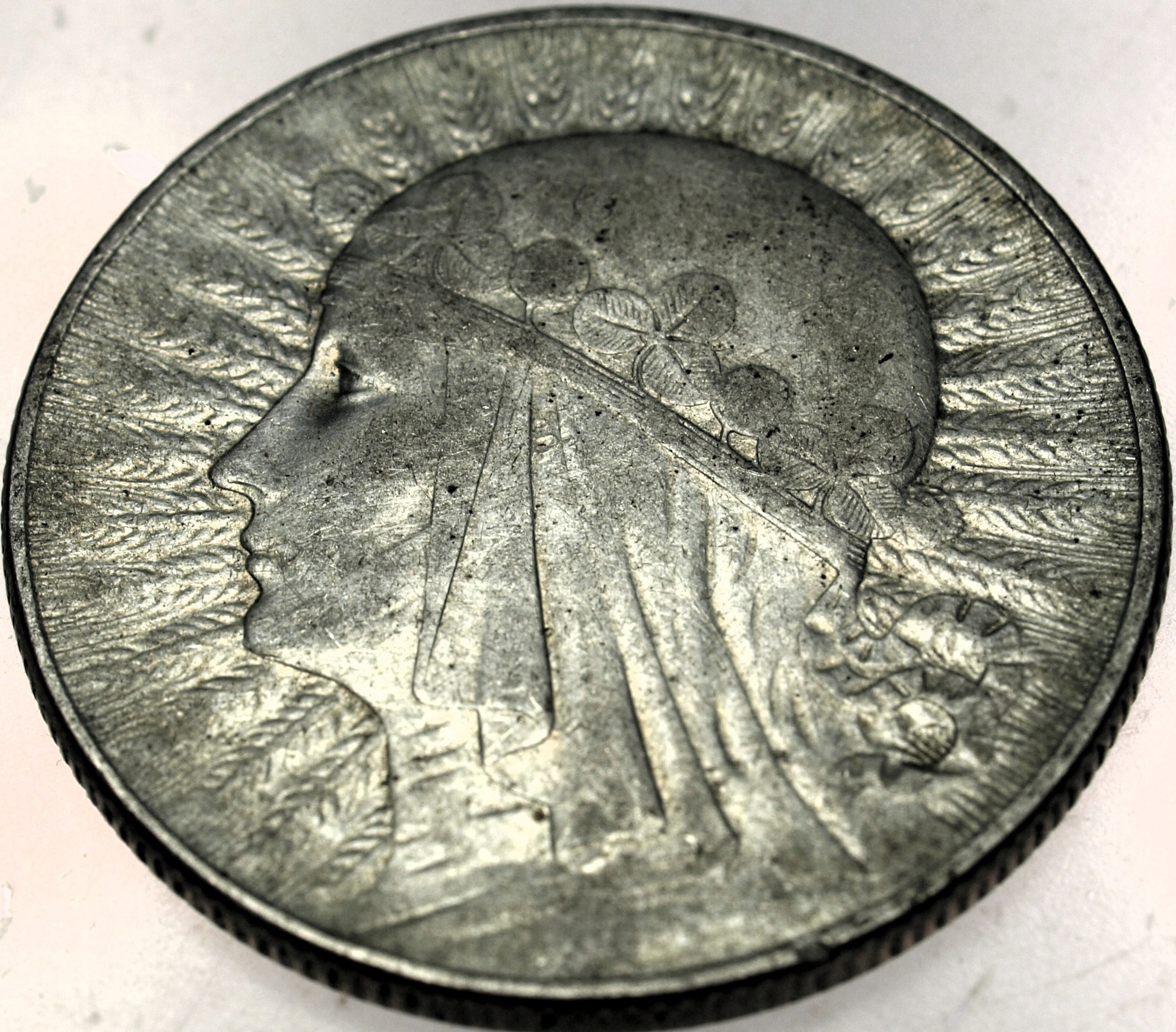 Zdjęcie 18425903172_0