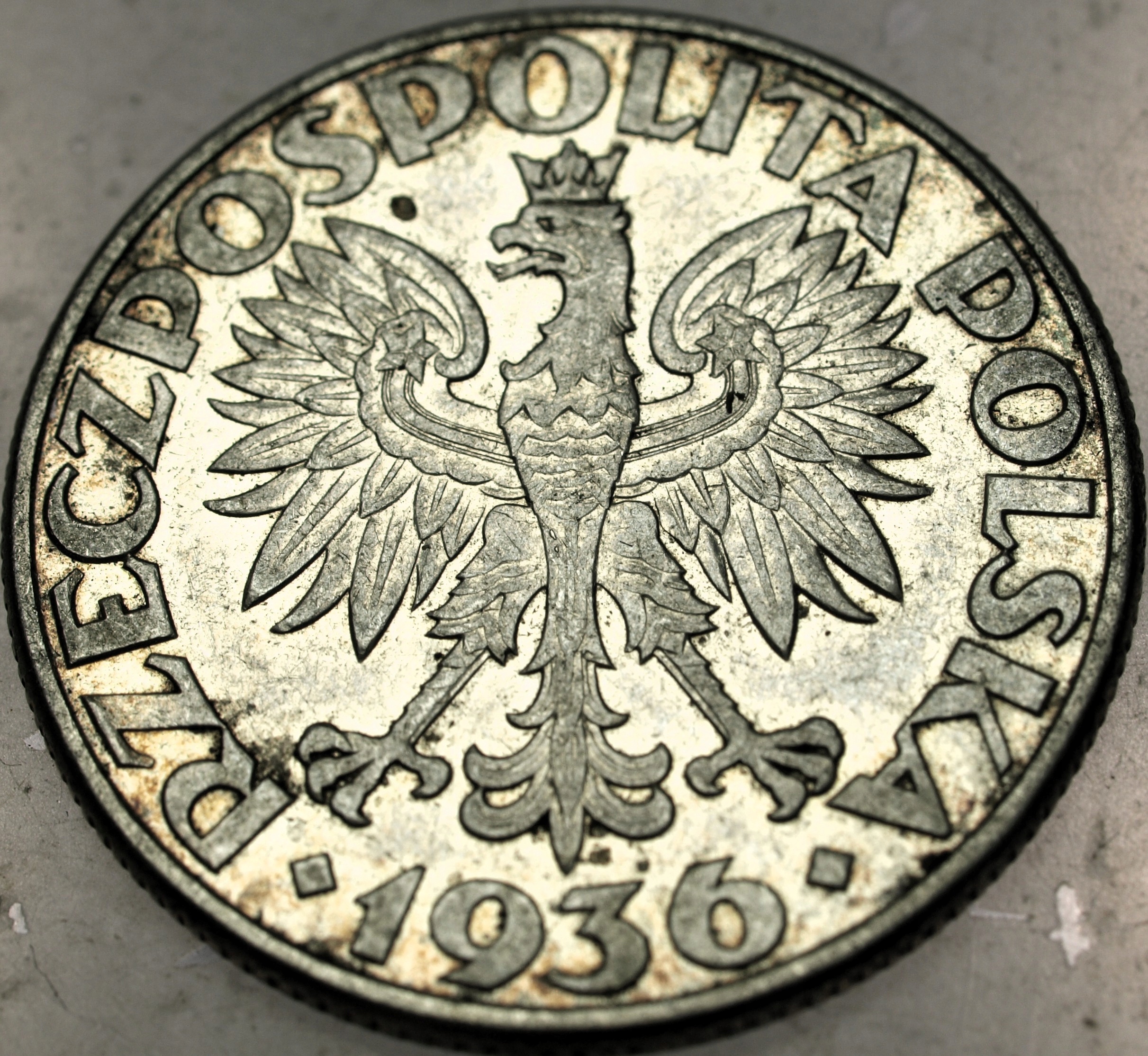 Zdjęcie 18428798200_1