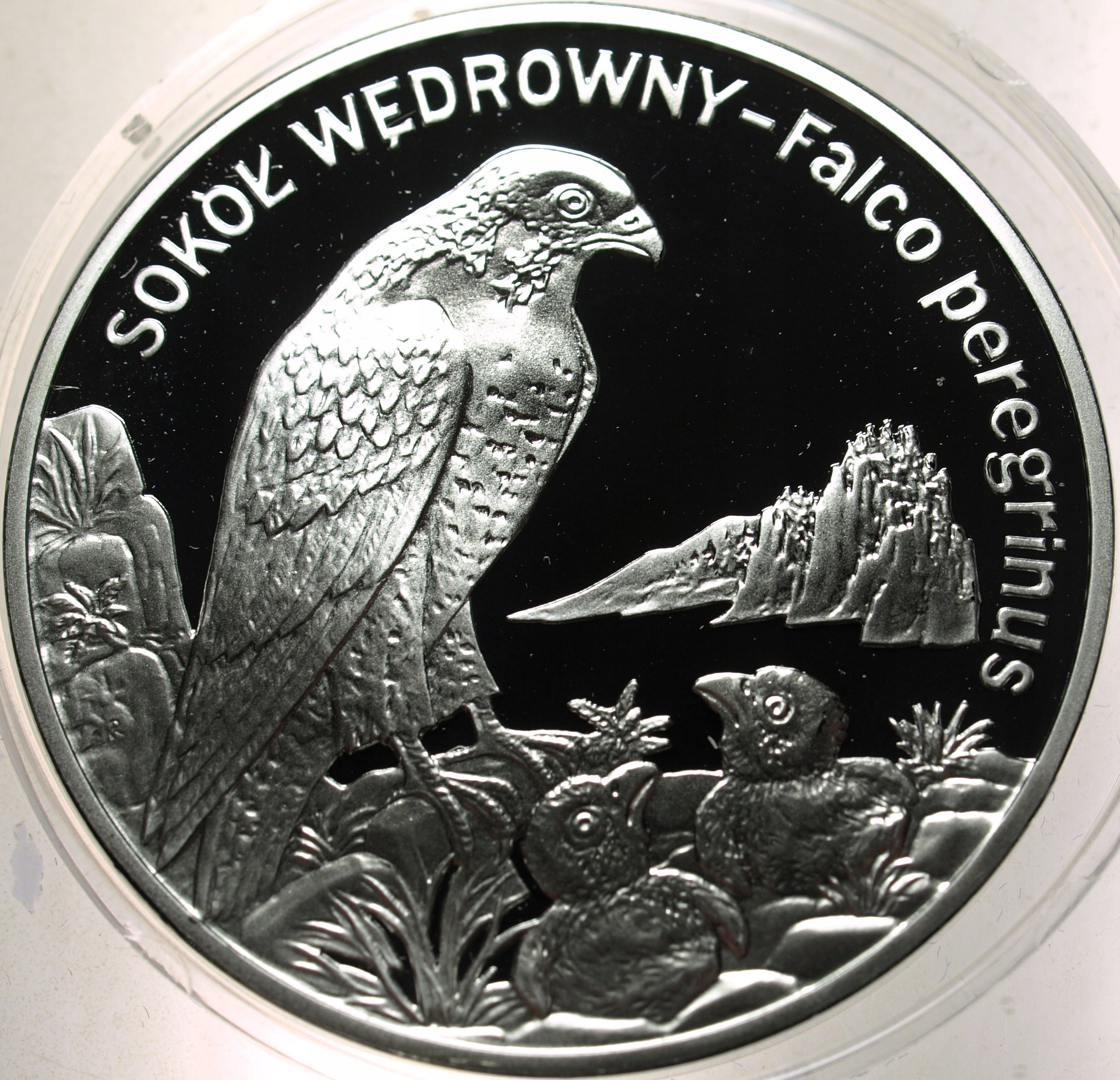 Zdjęcie 18428818246_0