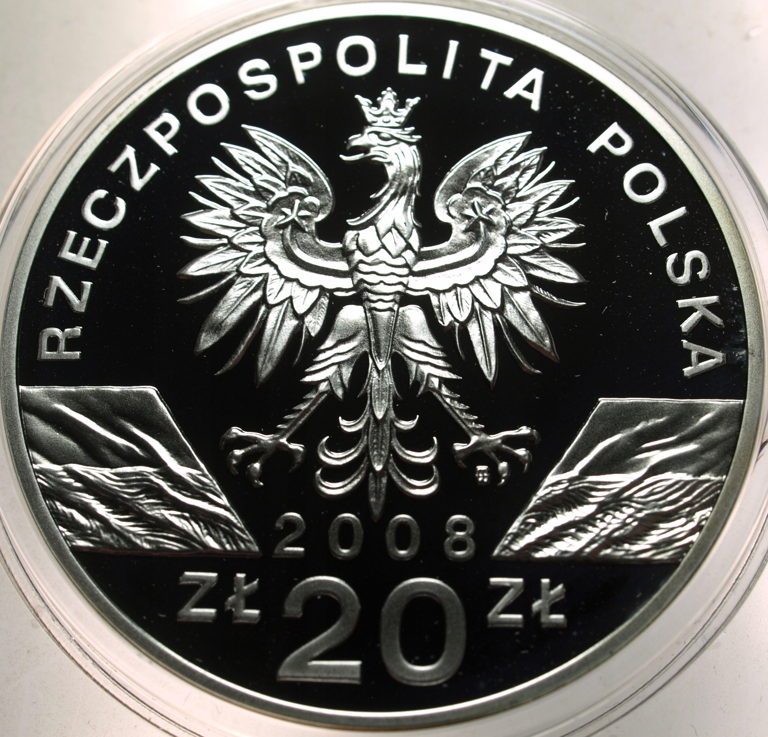 Zdjęcie 18428818246_1