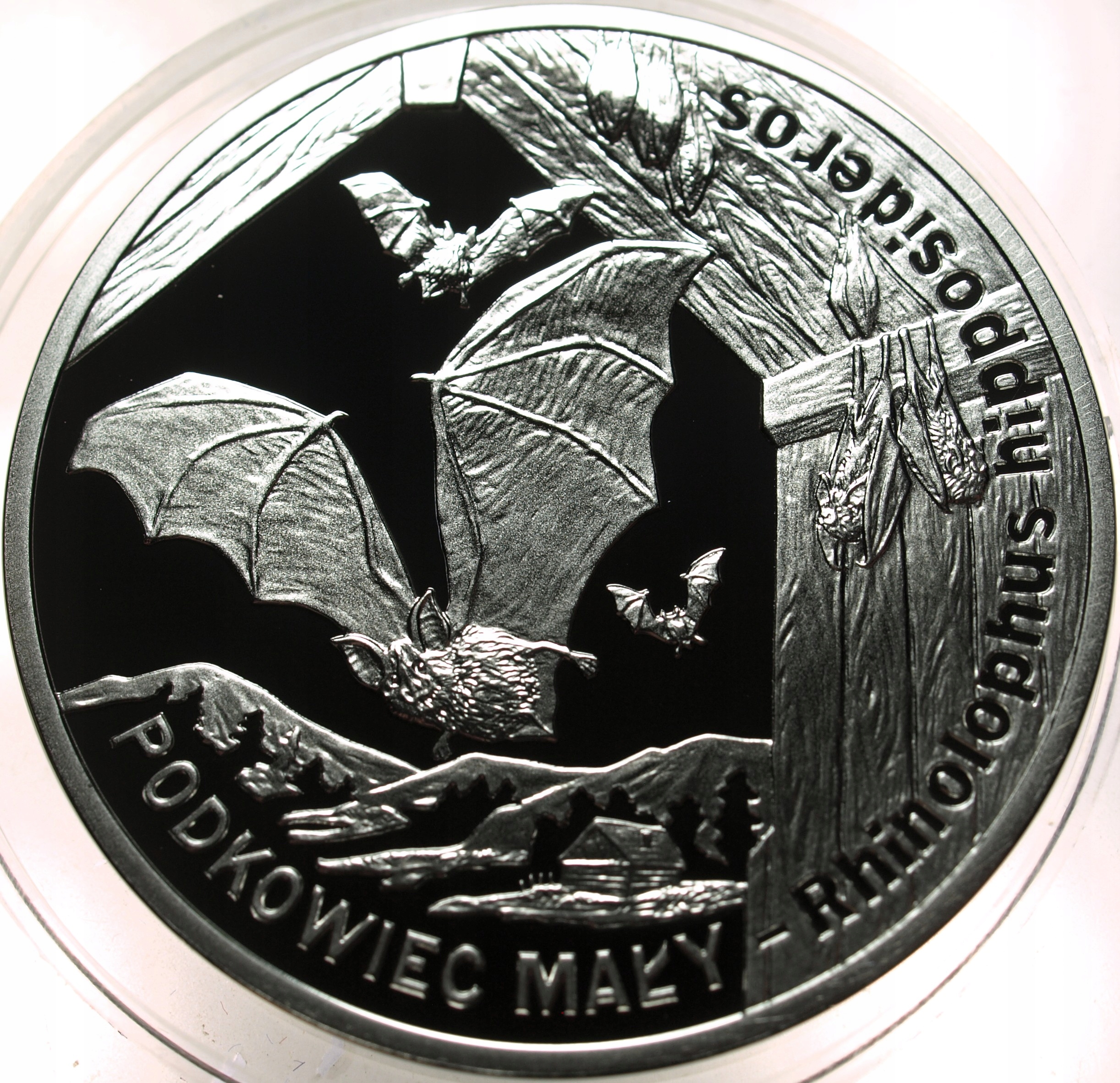 Zdjęcie 18428820373_0