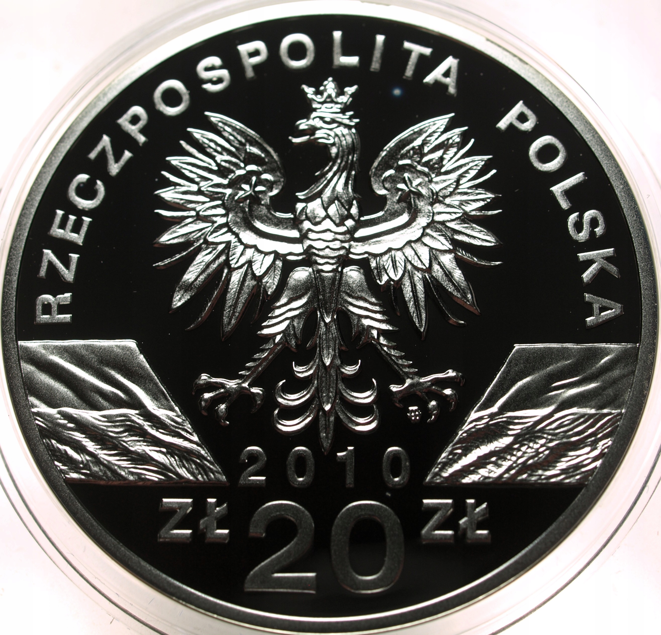 Zdjęcie 18428820373_1