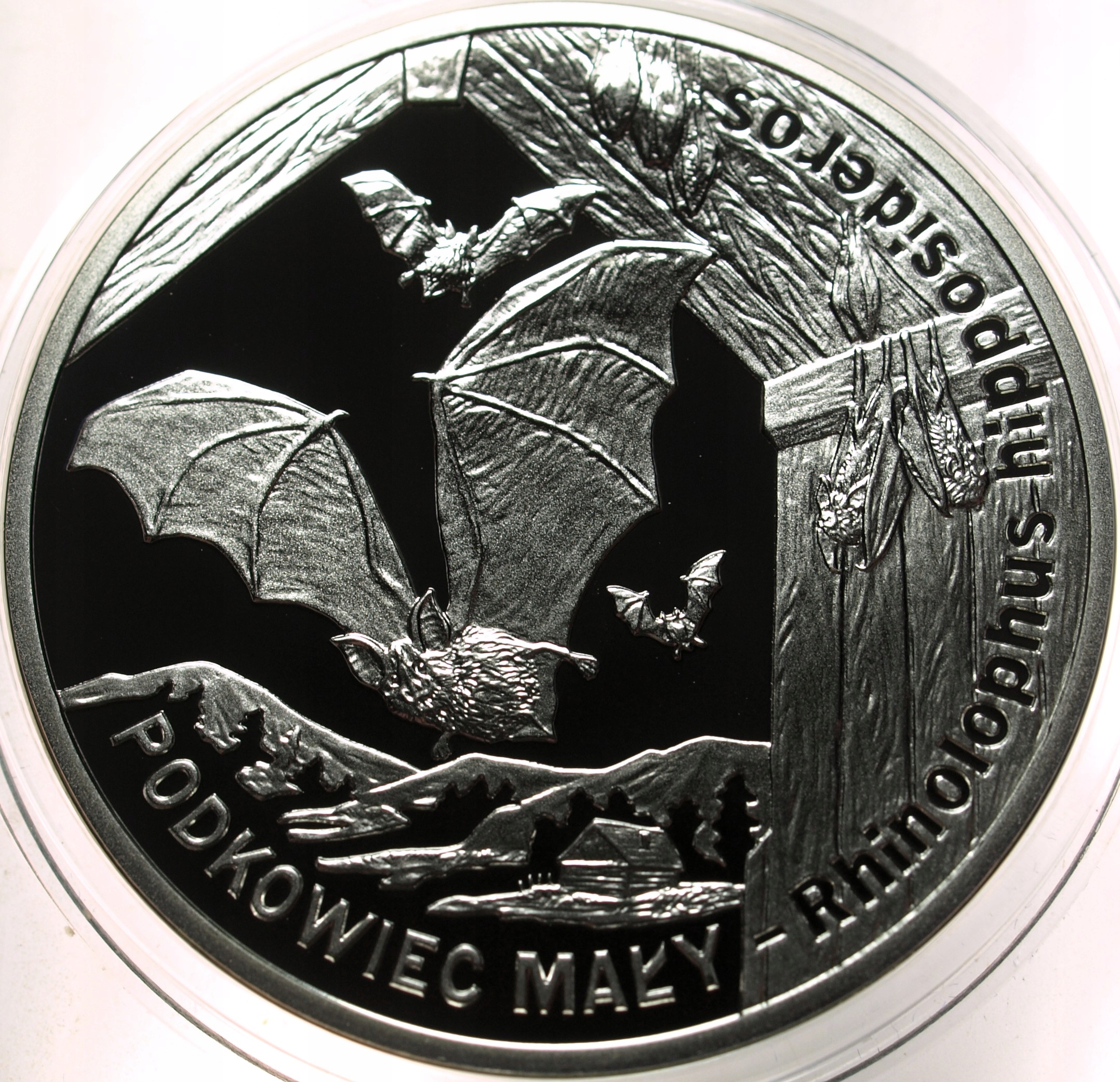 Zdjęcie 18428822632_0