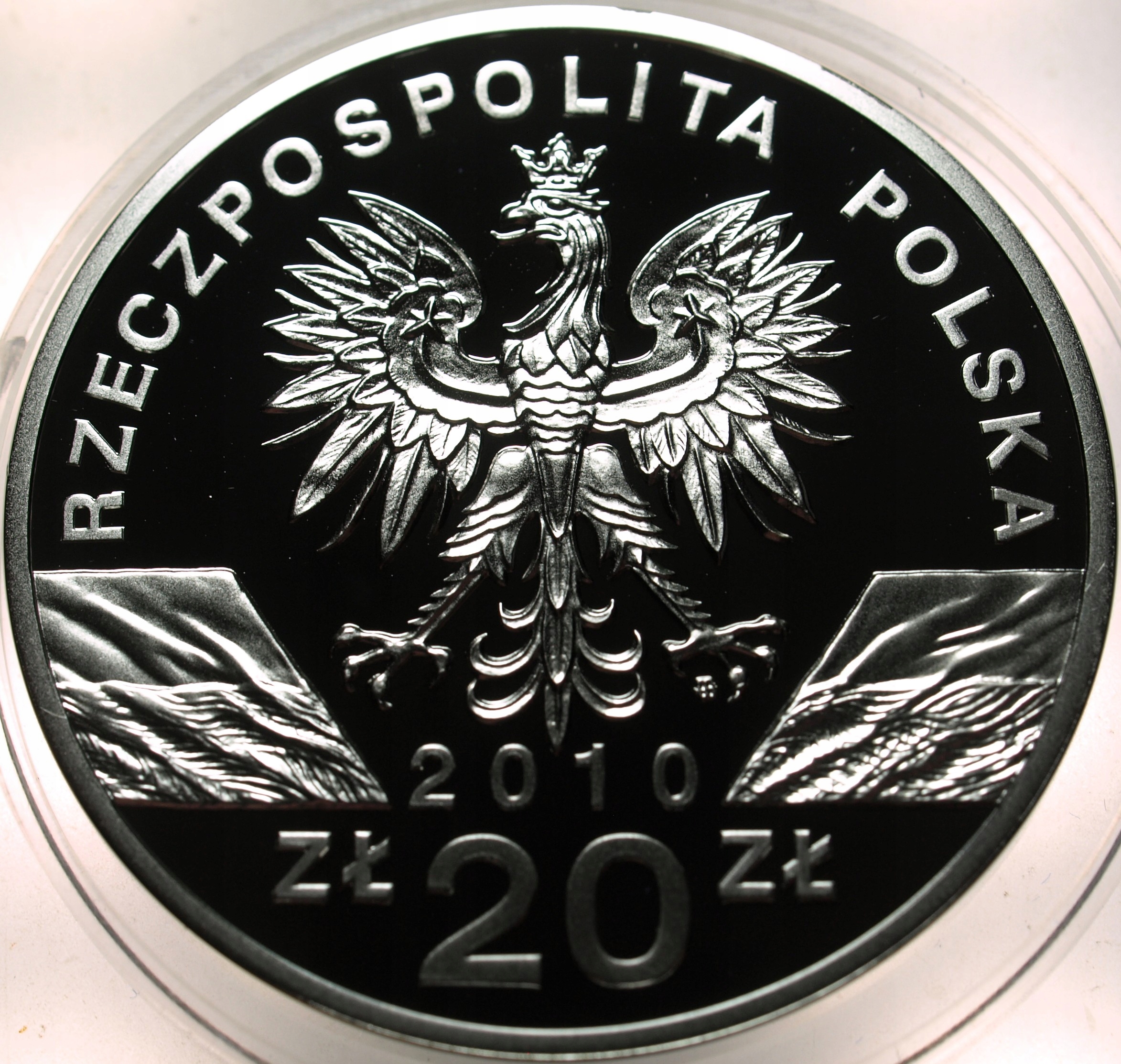 Zdjęcie 18428822632_1