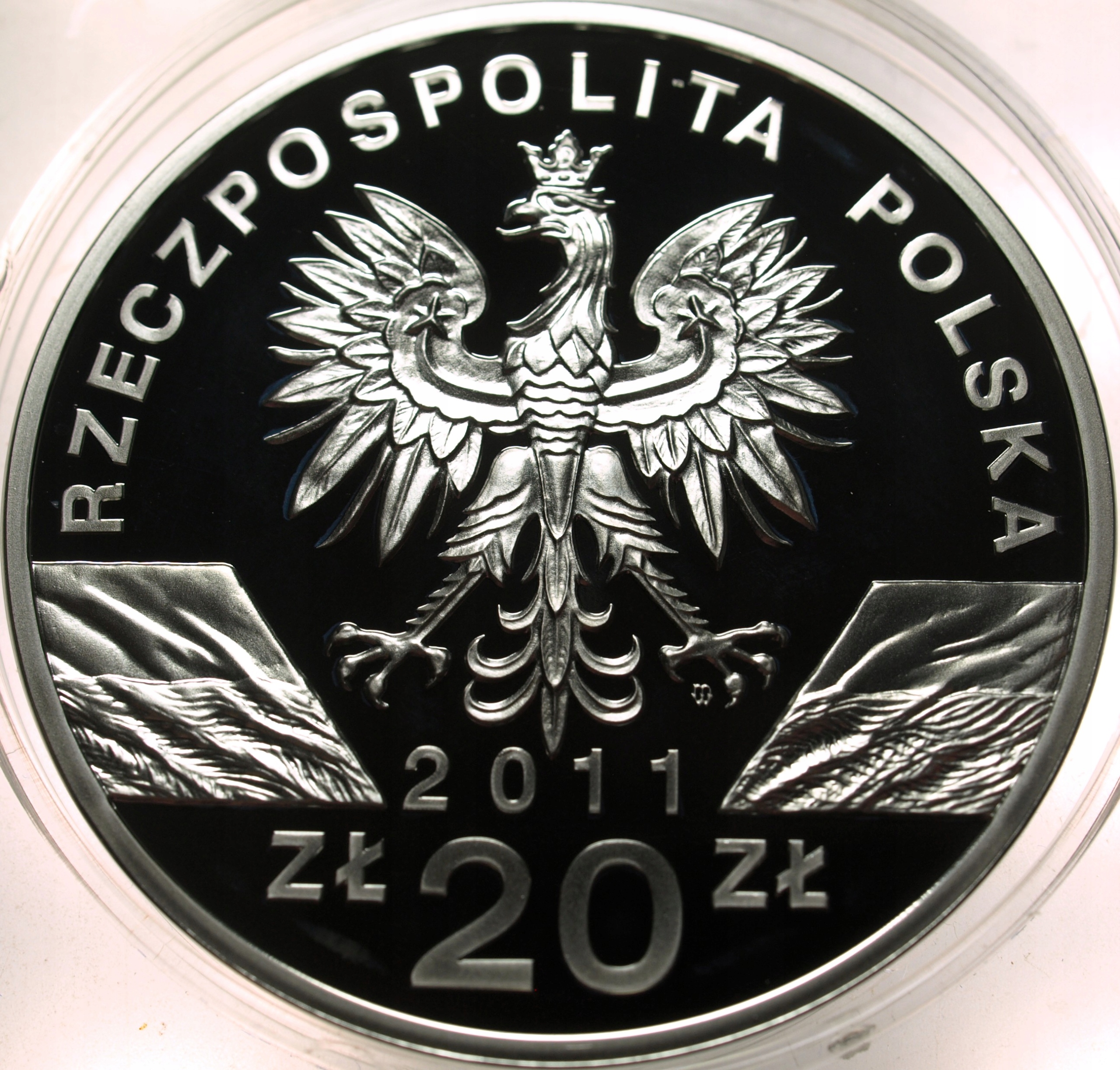 Zdjęcie 18428825193_1