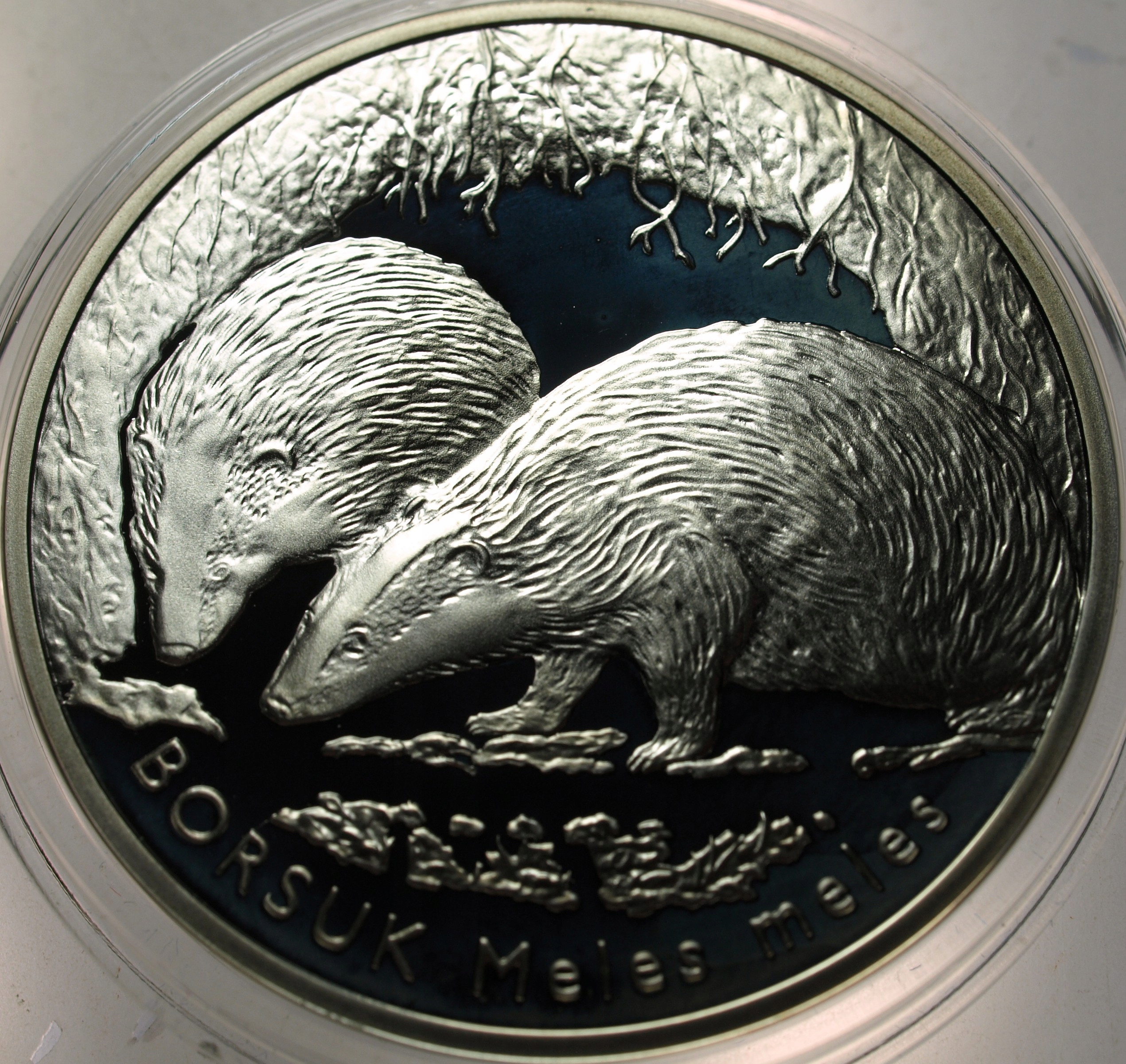 Zdjęcie 18428827383_0