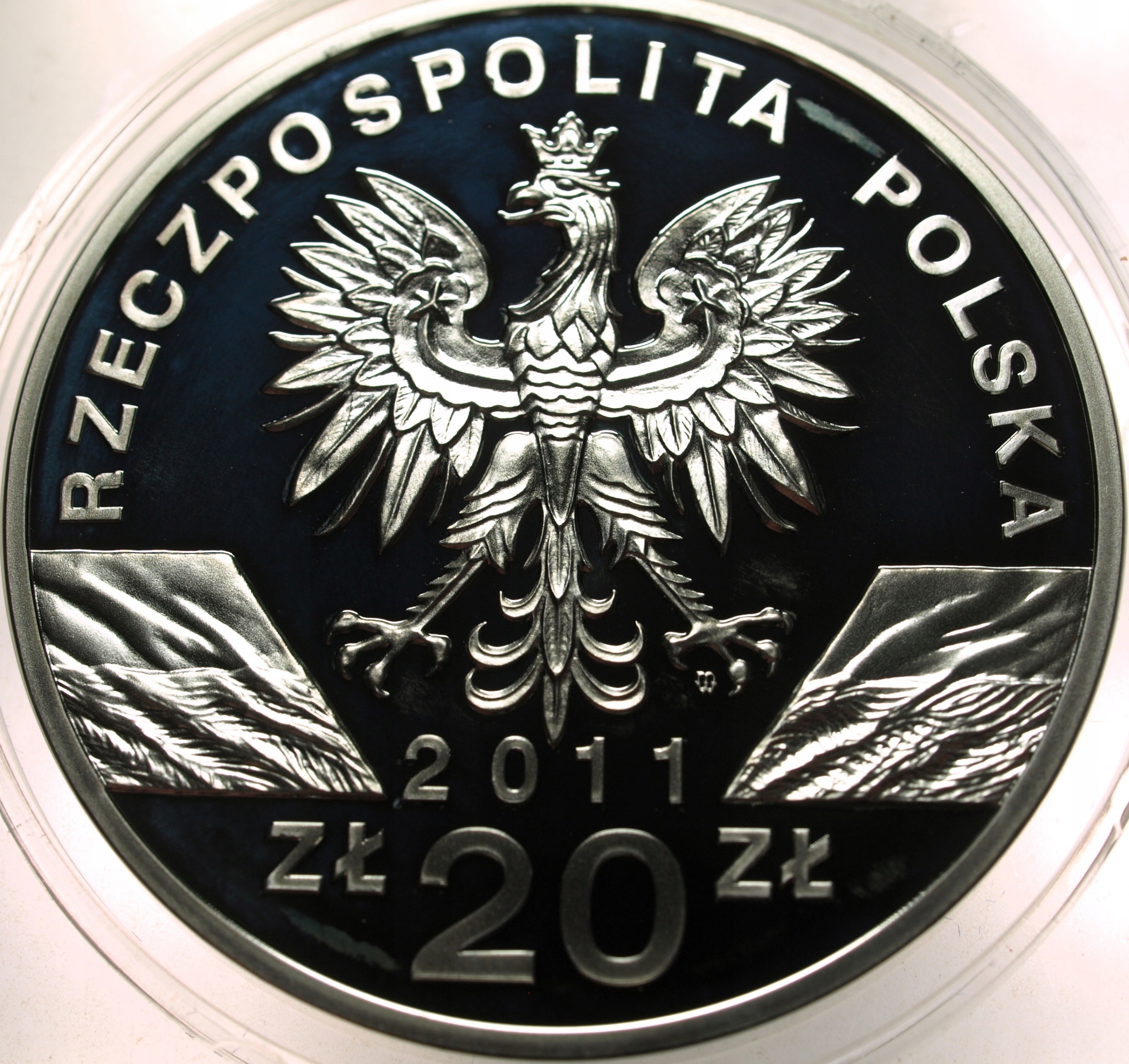 Zdjęcie 18428827383_1