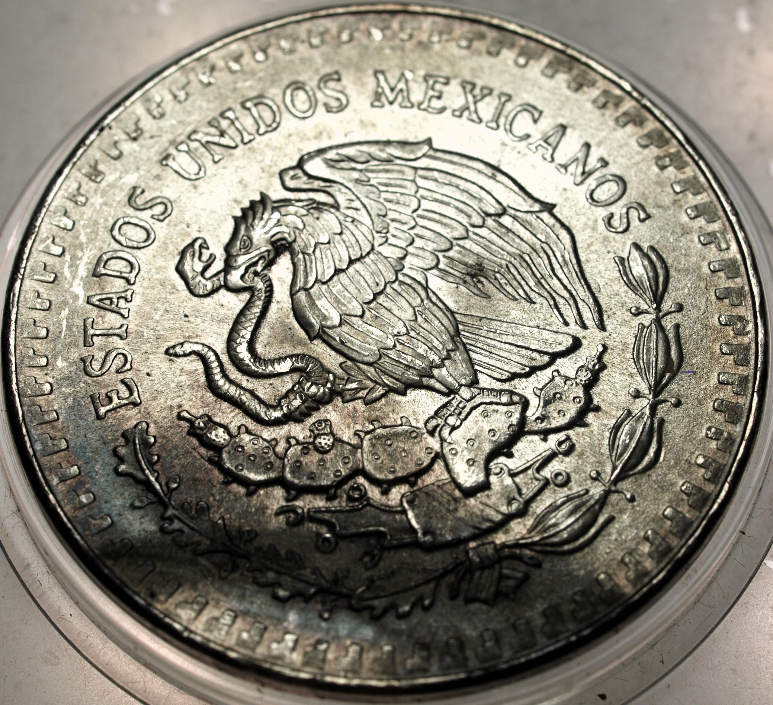 Zdjęcie 18428848272_1